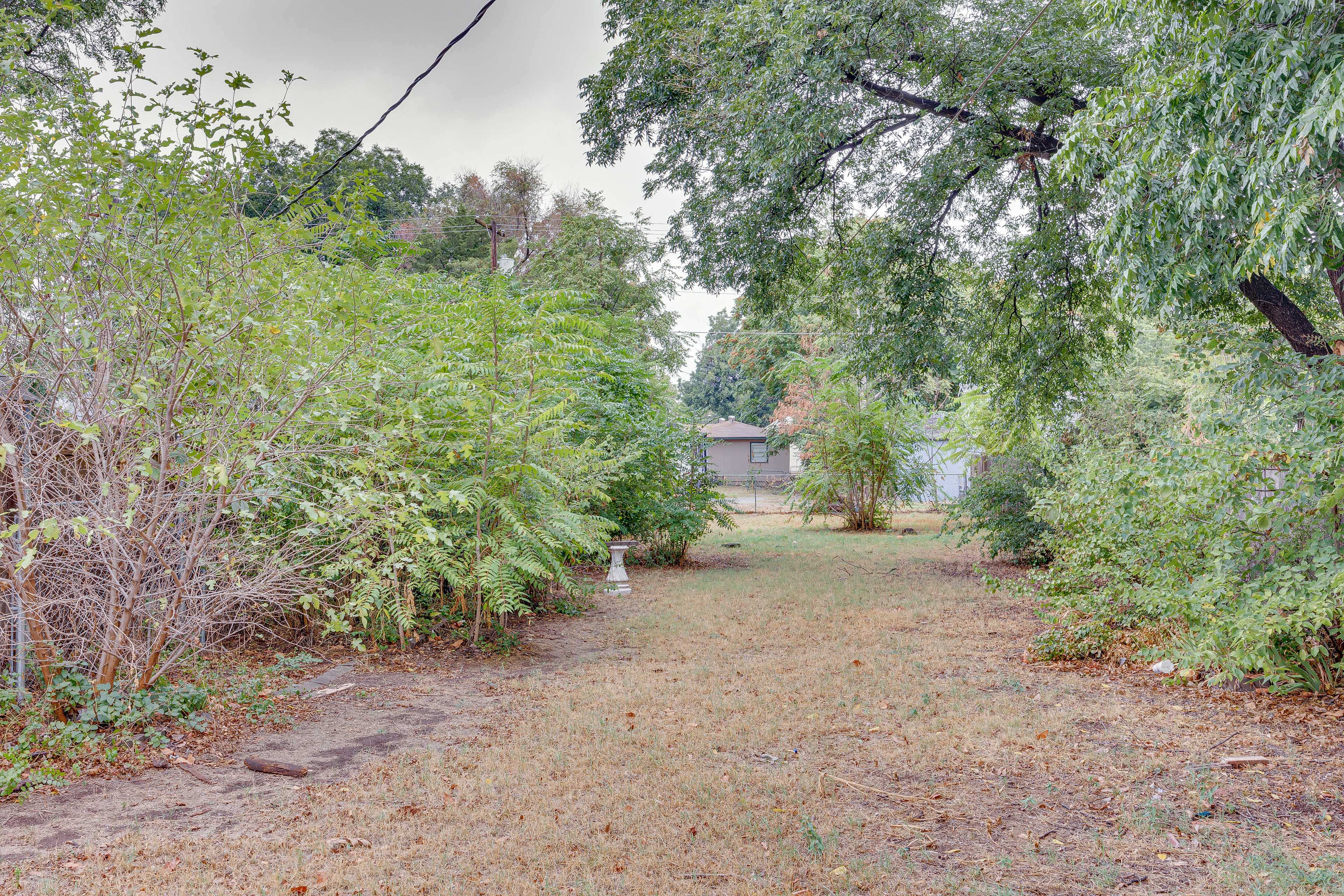 Fenced-In Backyard