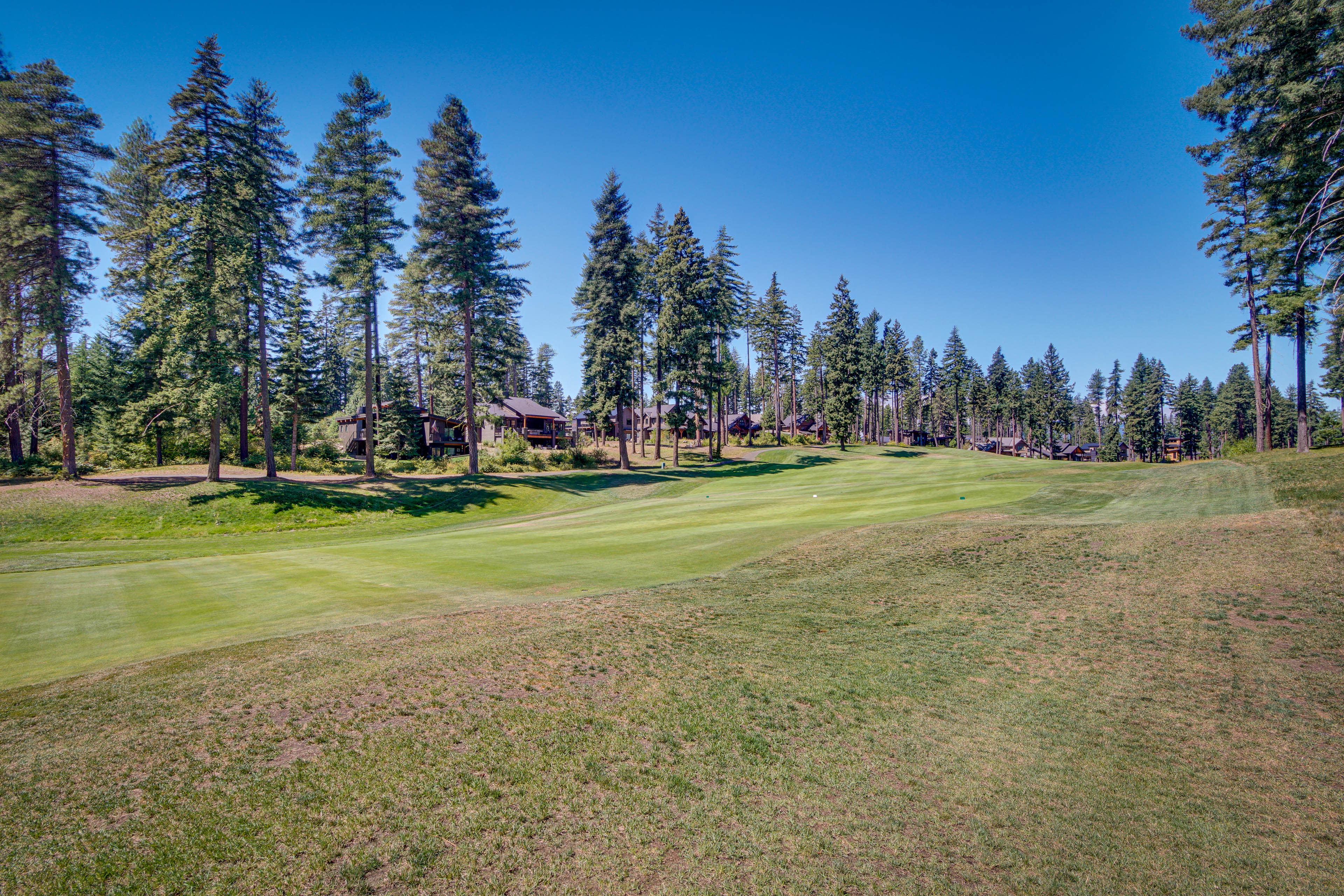 Golf Course Views