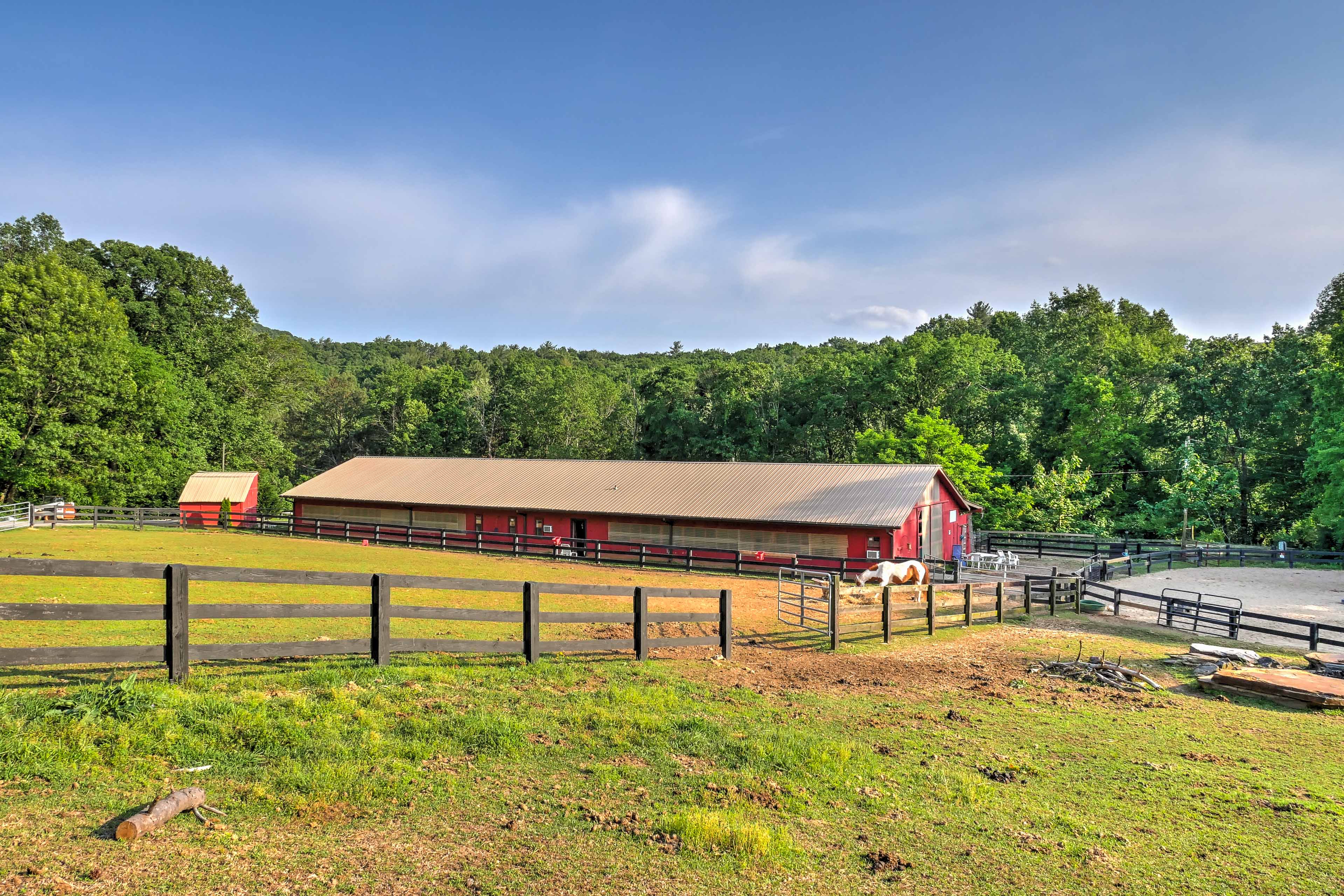 Community Horseback Riding