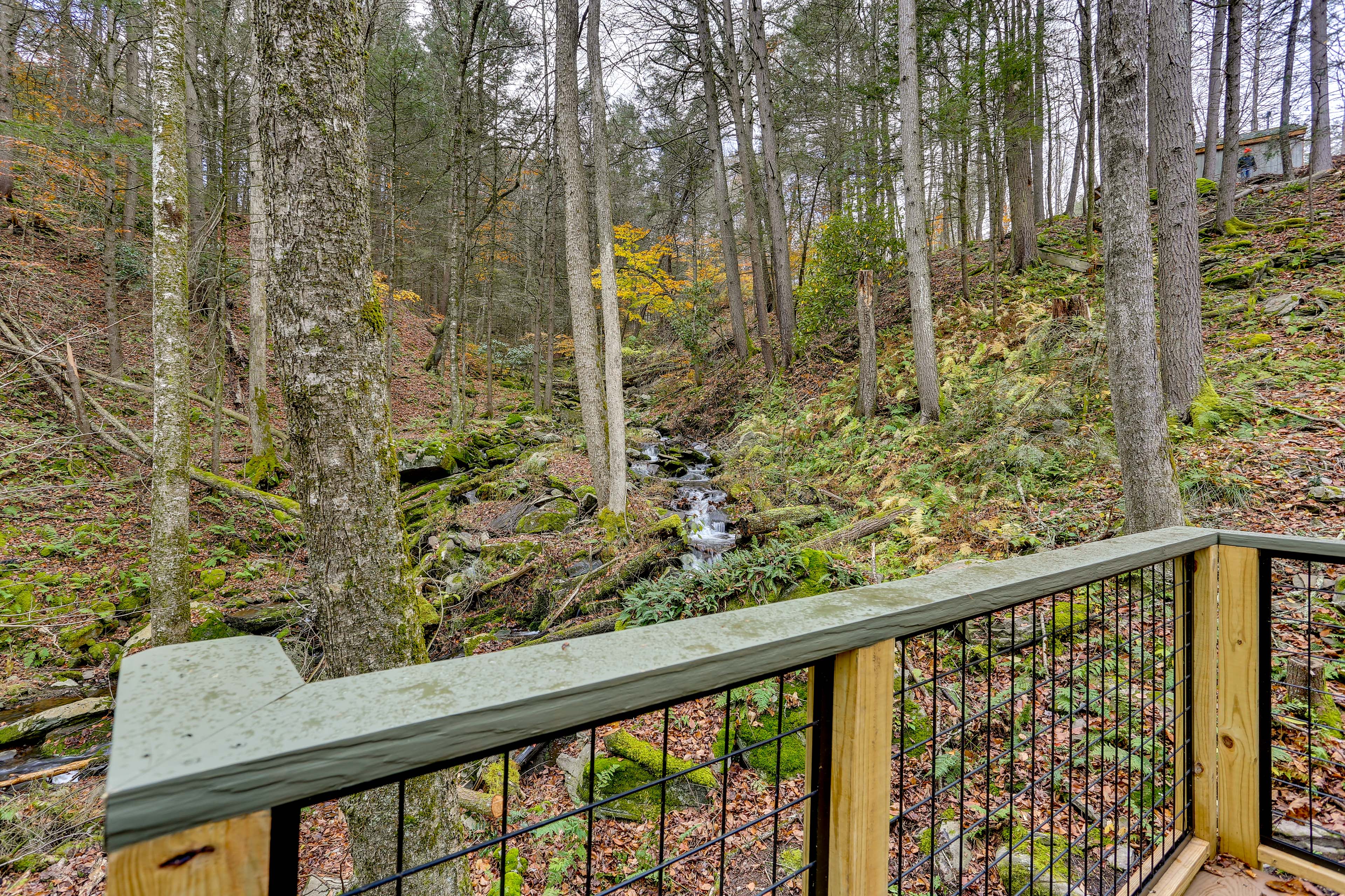 Deck | Creekside Views