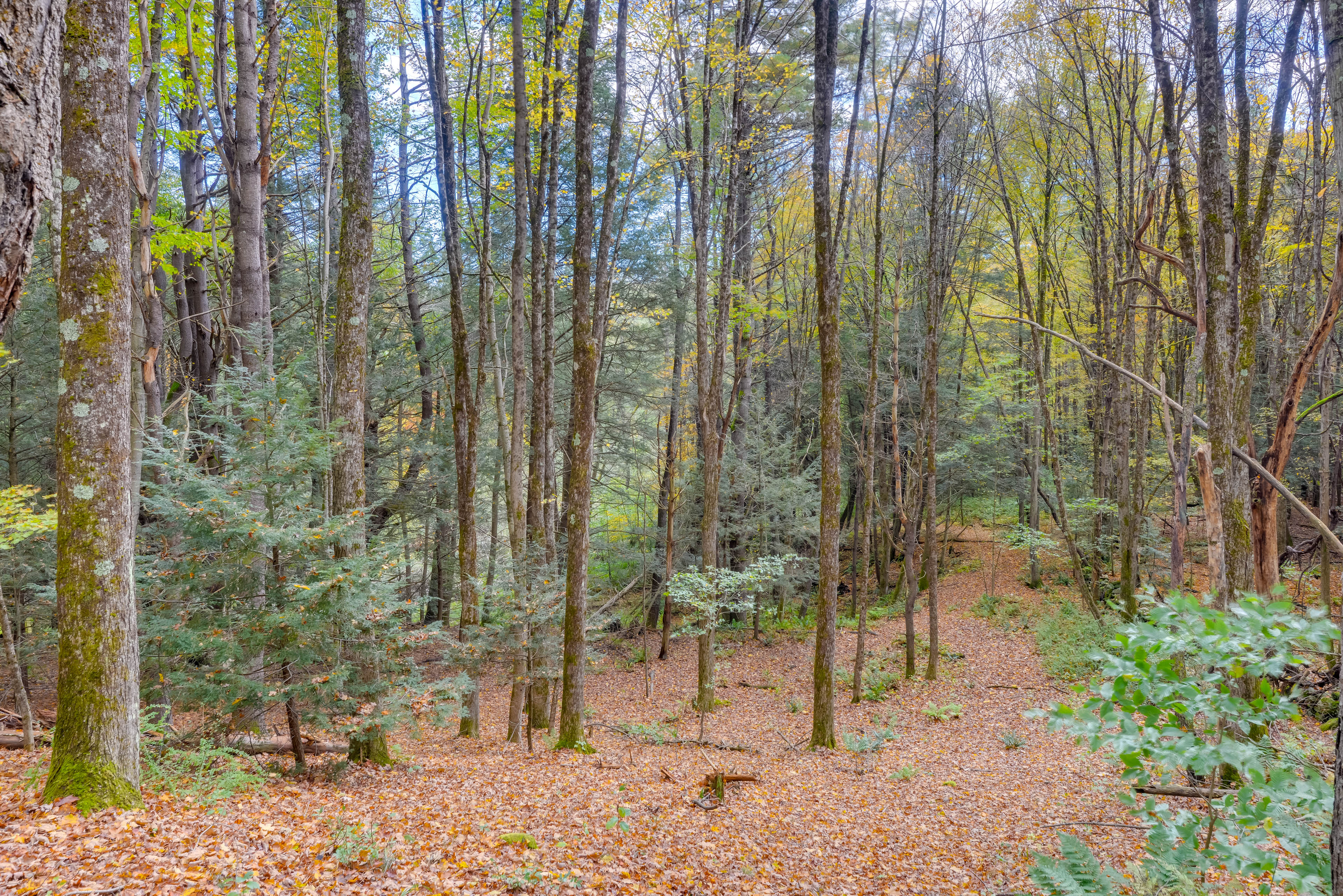 Surrounding Area | Hiking Trail Access