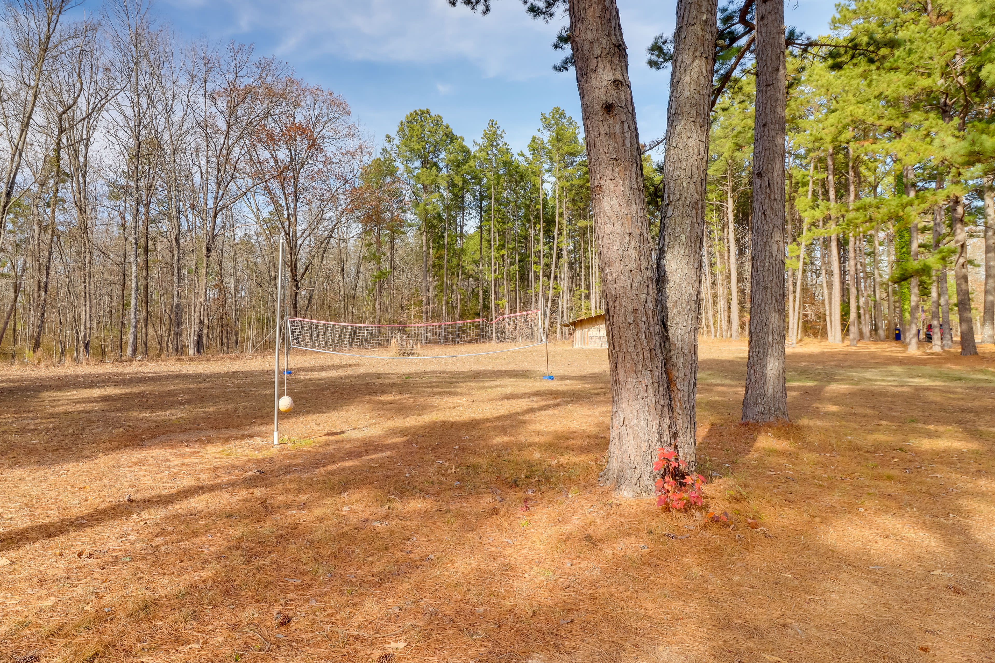 Volleyball Court