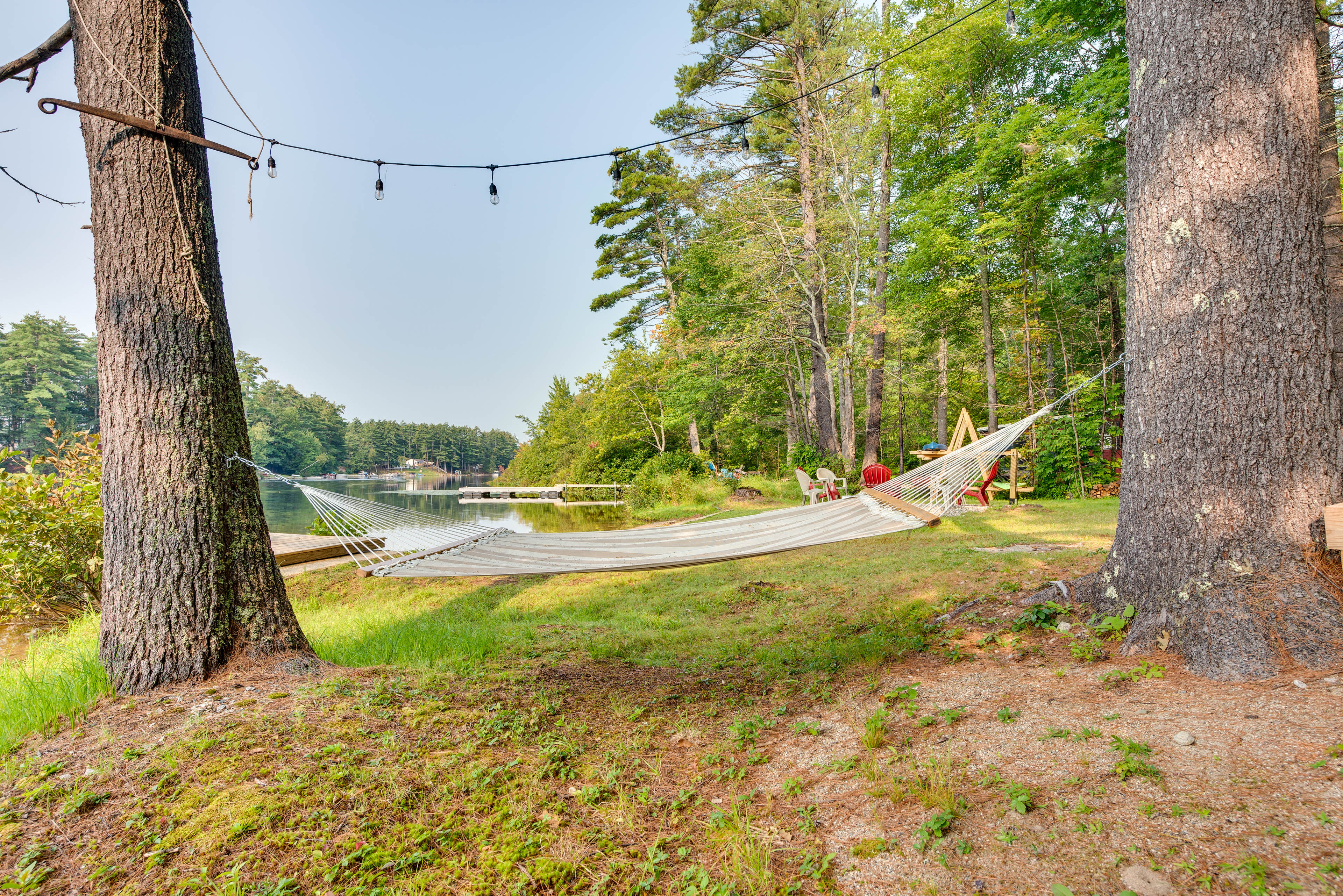 Backyard | Hammock