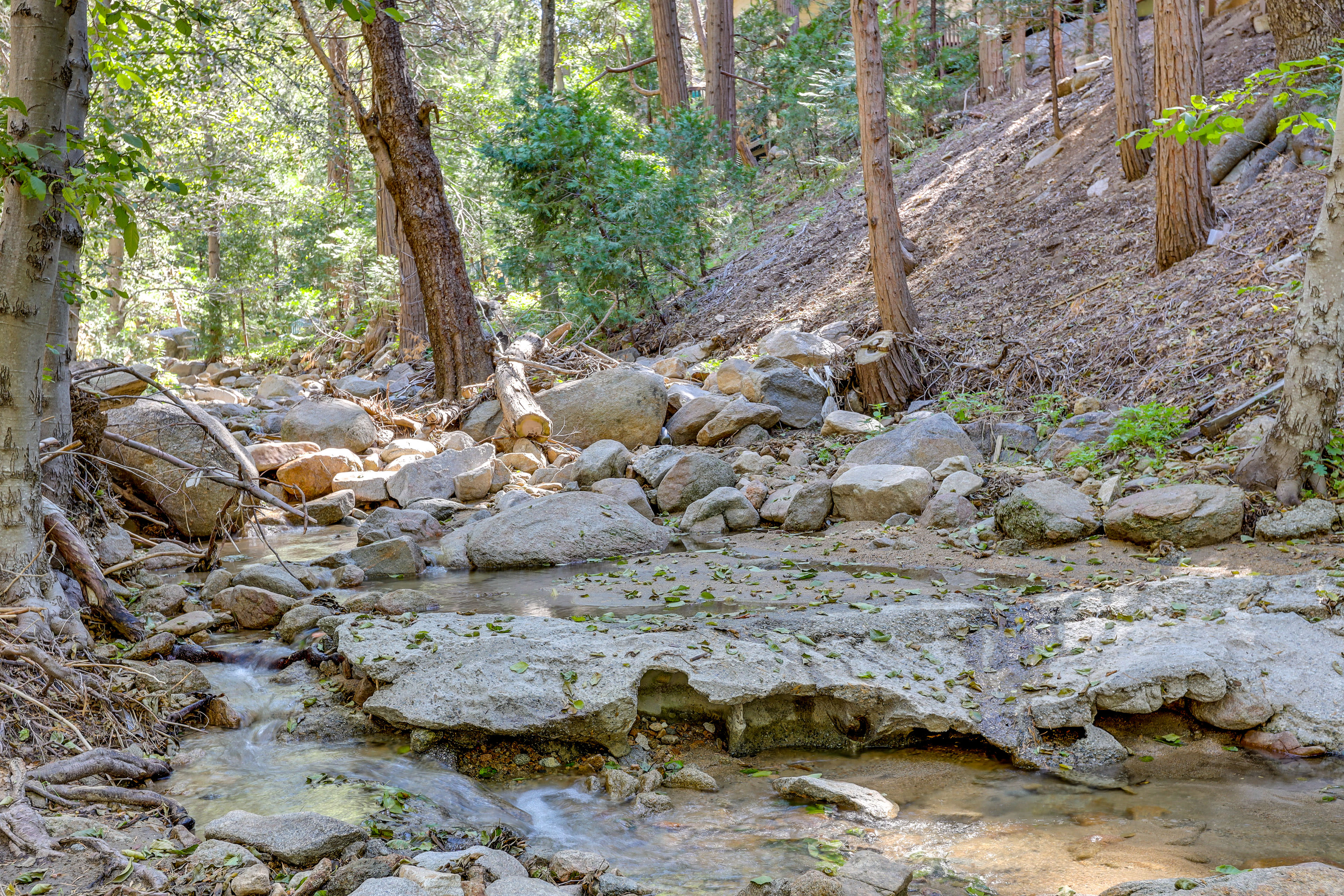 Nearby Creek