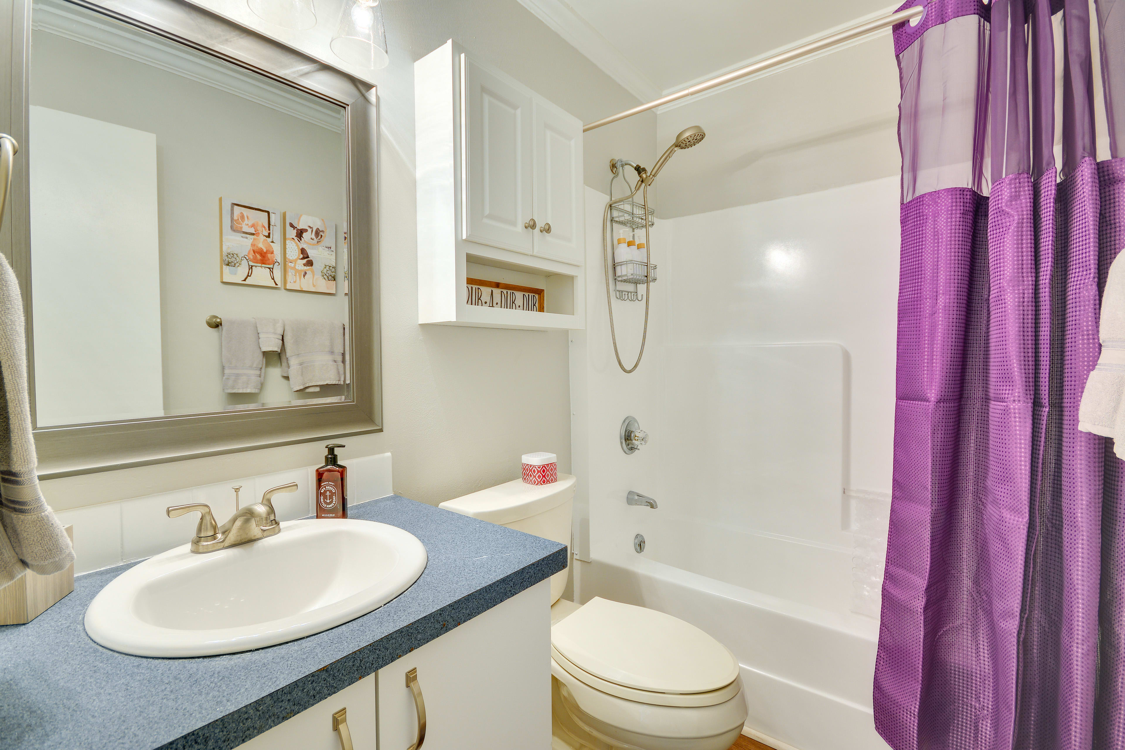 Full Bathroom | Plastic Hand Rail in Shower