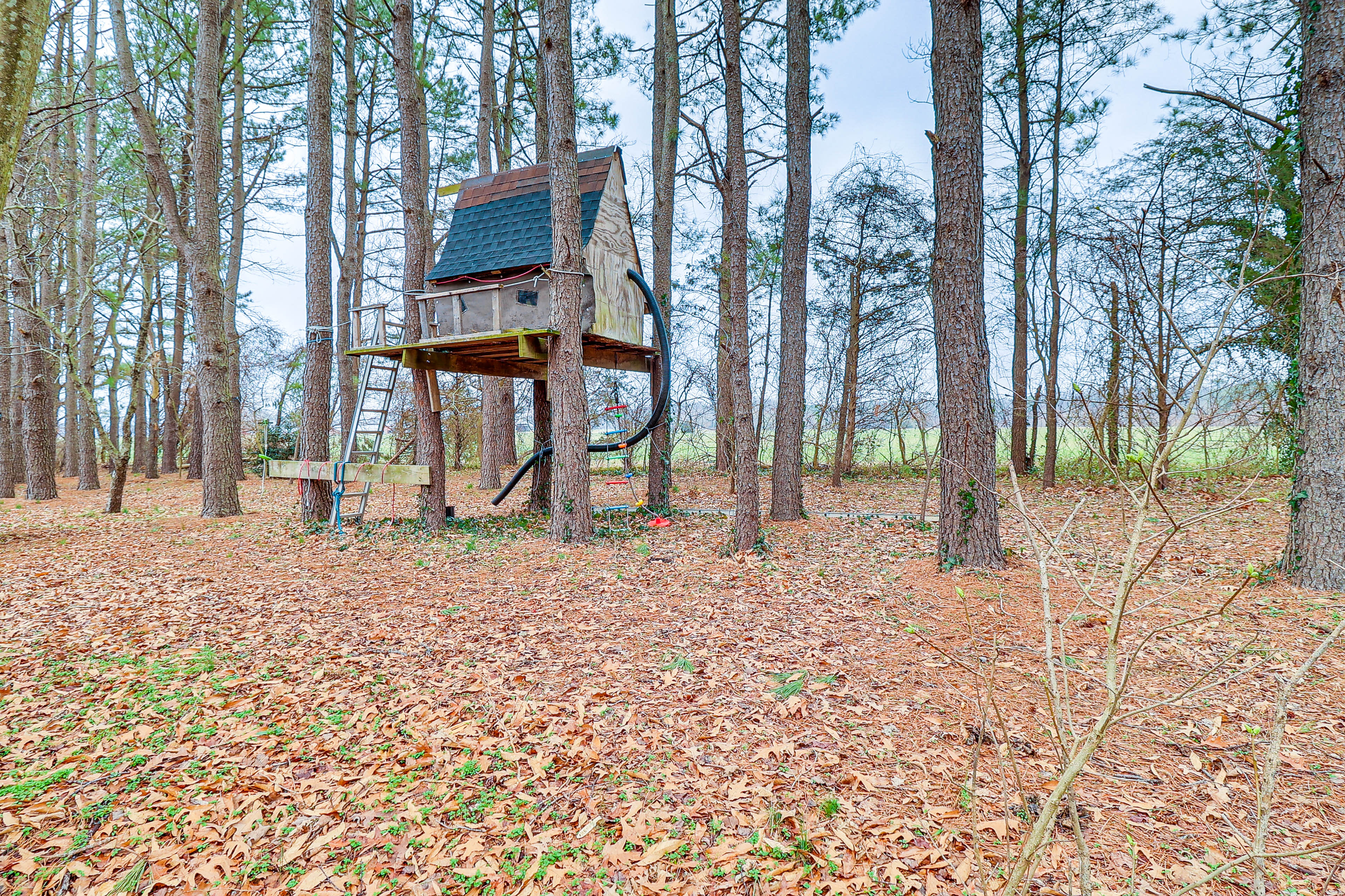 Tree House