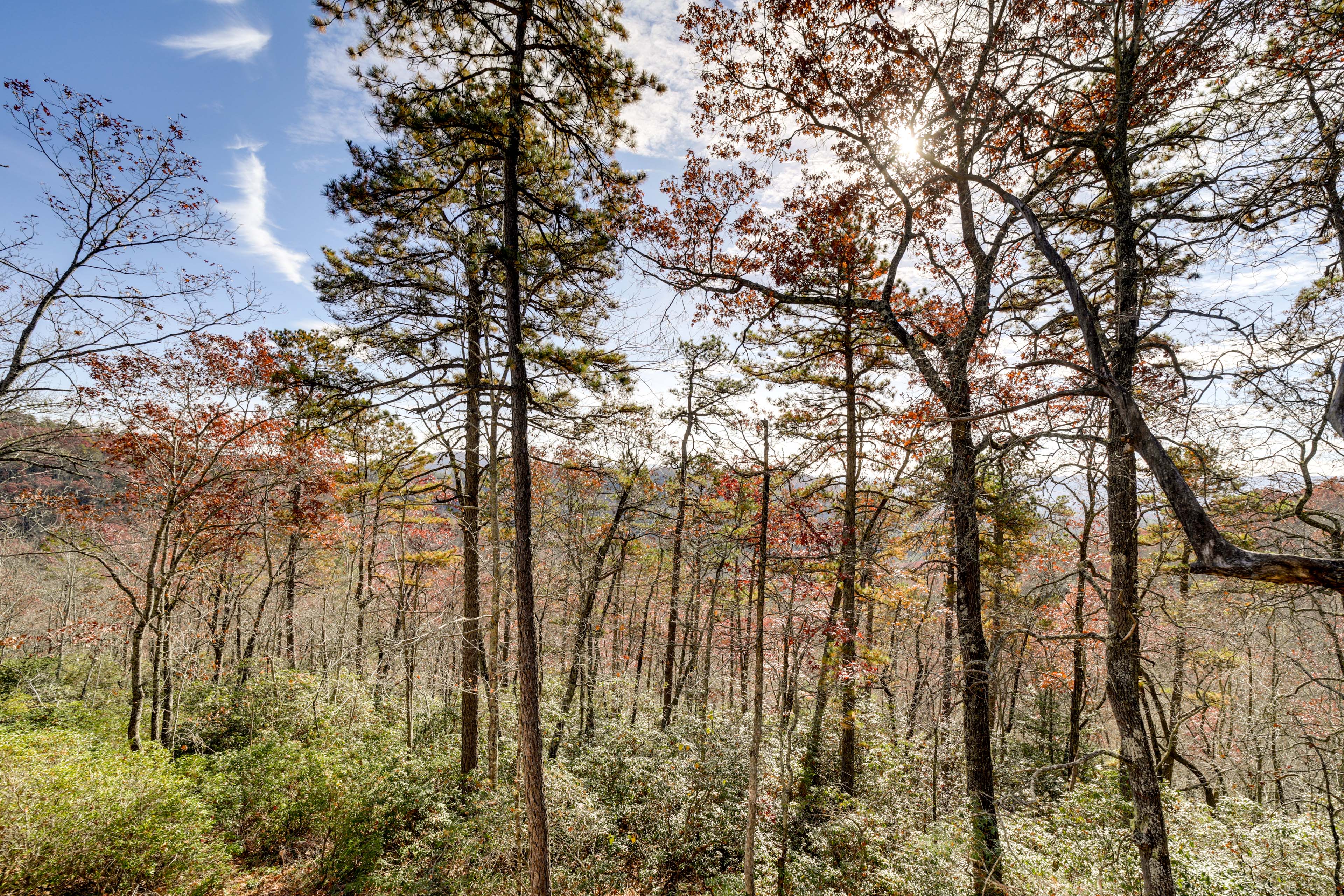 Property Views | Pisgah National Forest