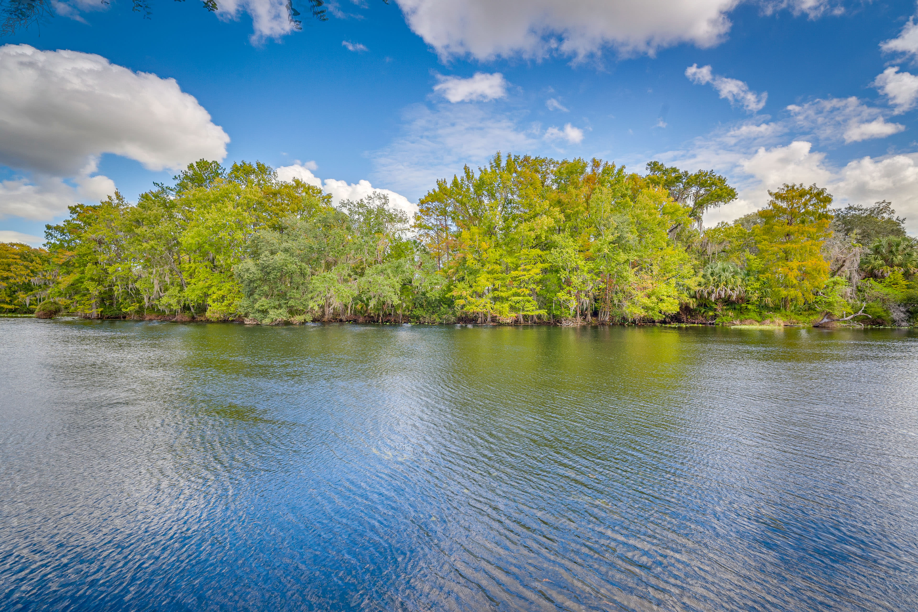 Withlacoochee River Access