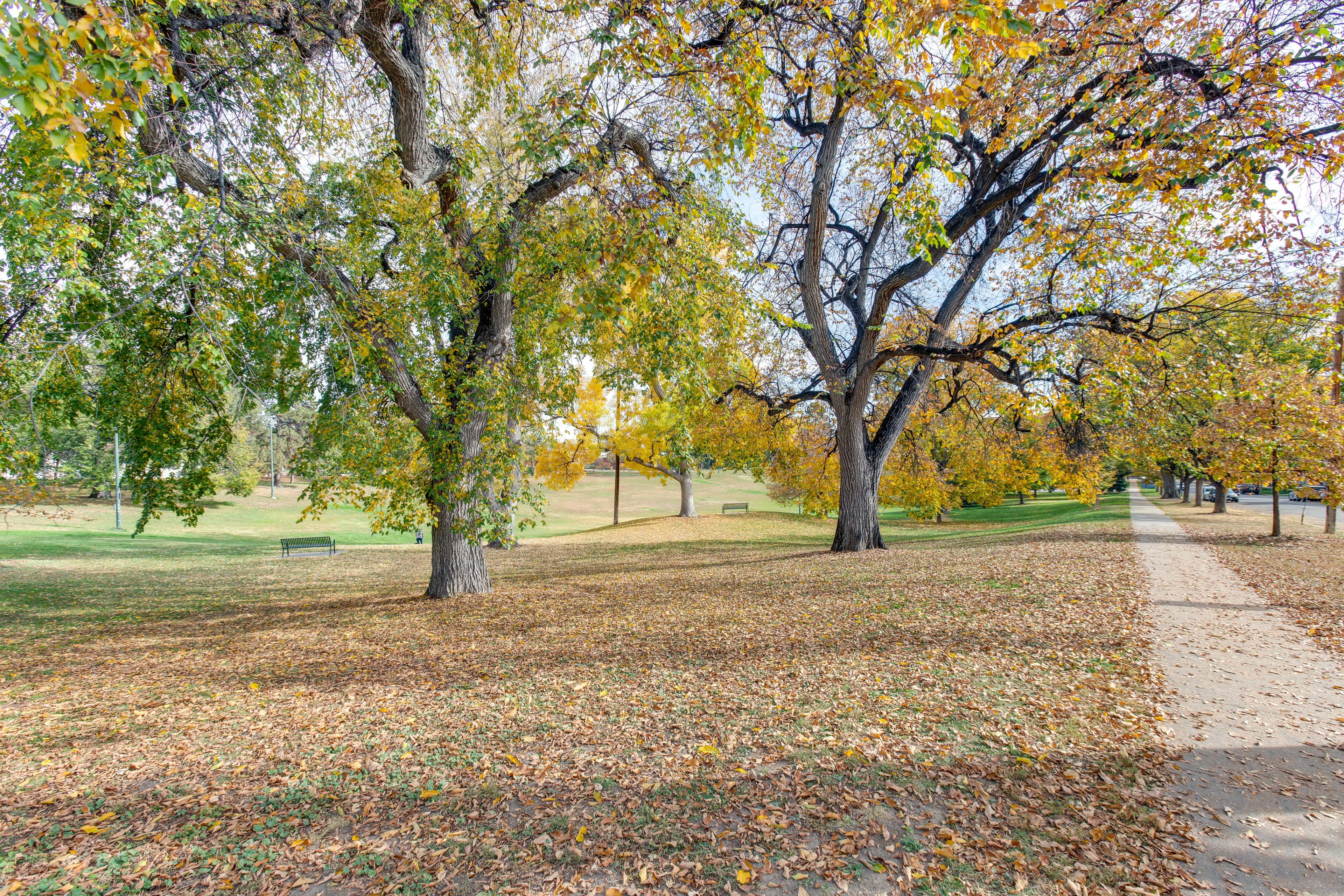 Jefferson Park Neighborhood