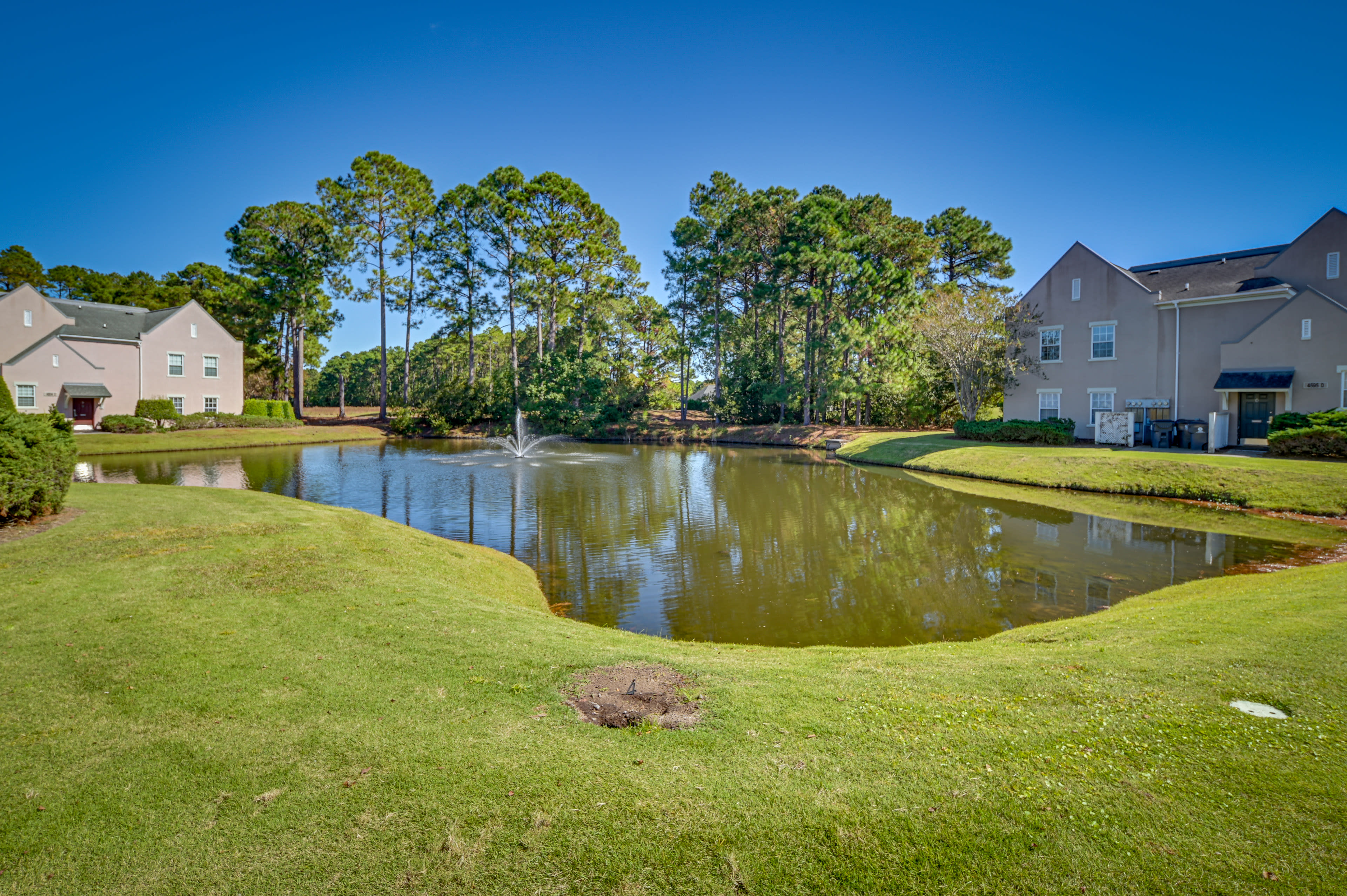 Pond Views