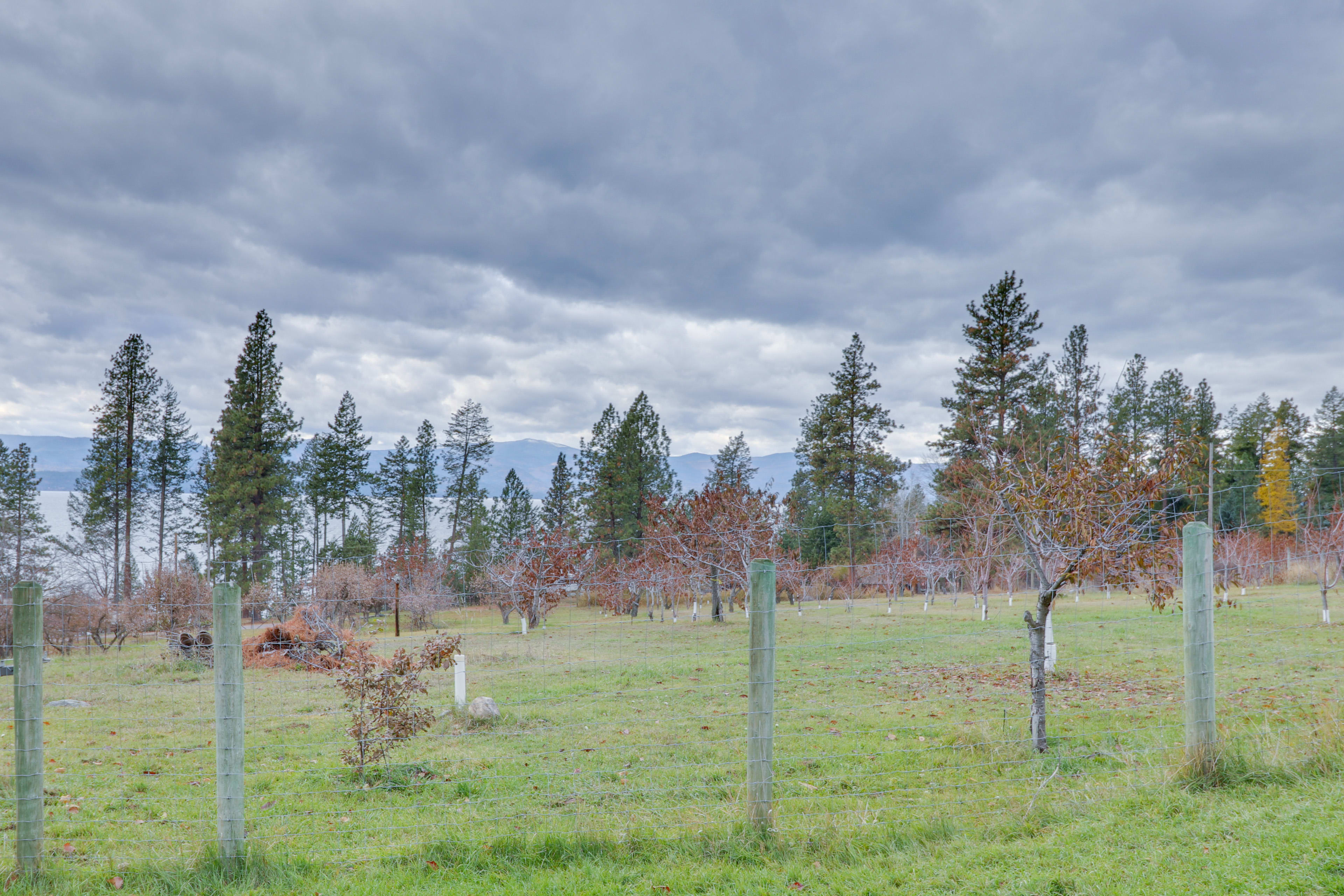 Cherry Orchard On-Site | Lake Views