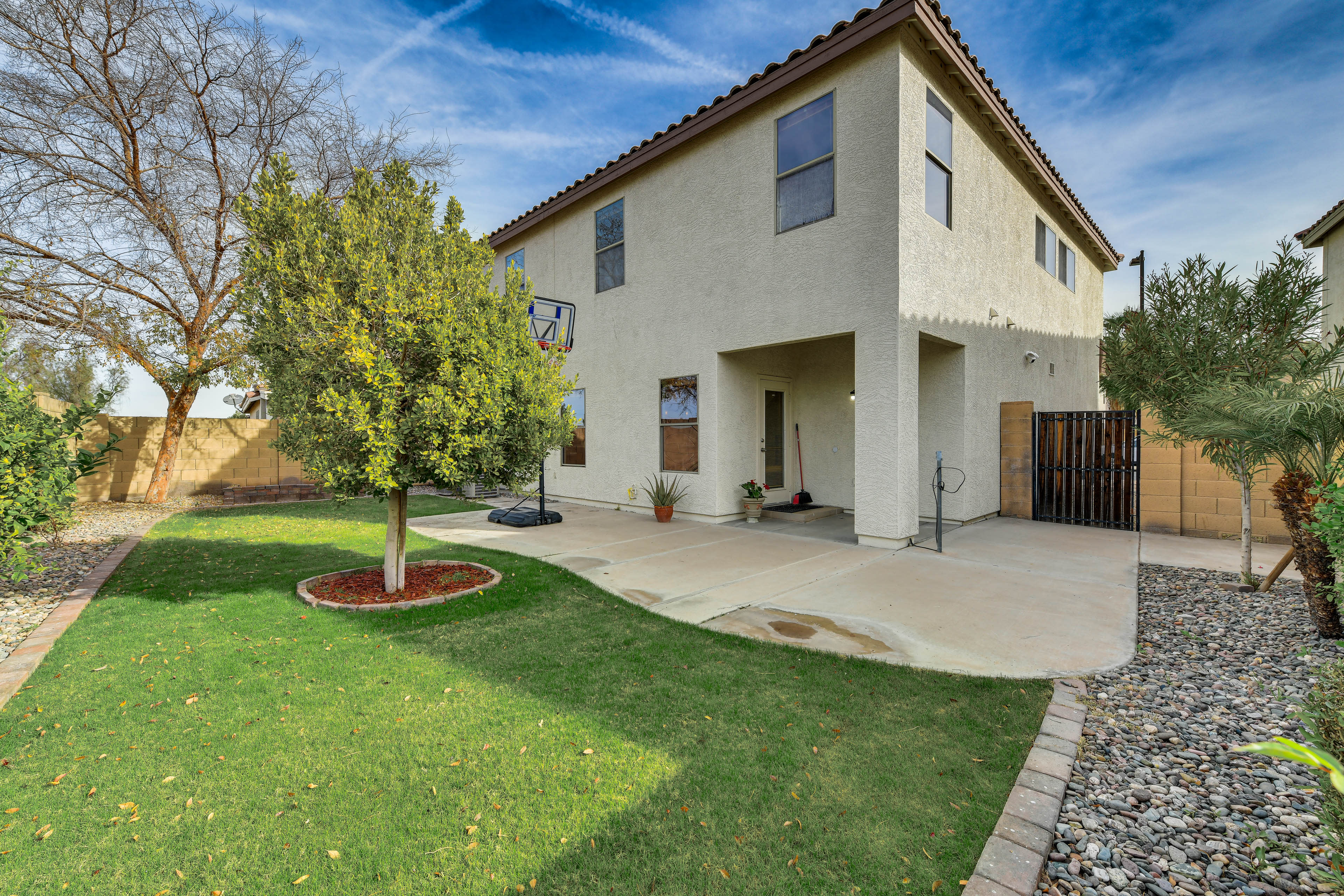 Backyard | Basketball Hoop