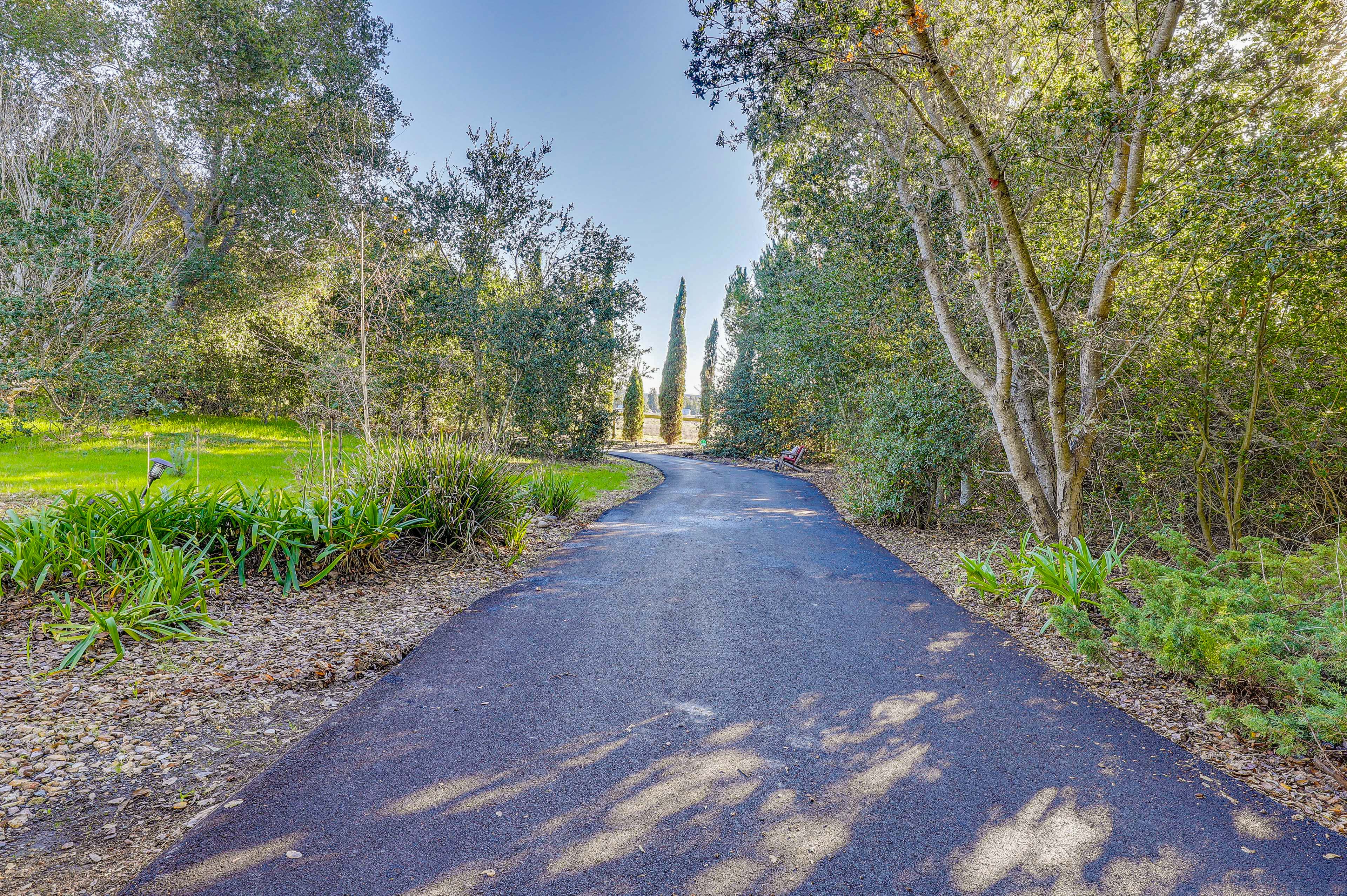 Driveway to Access Cottage