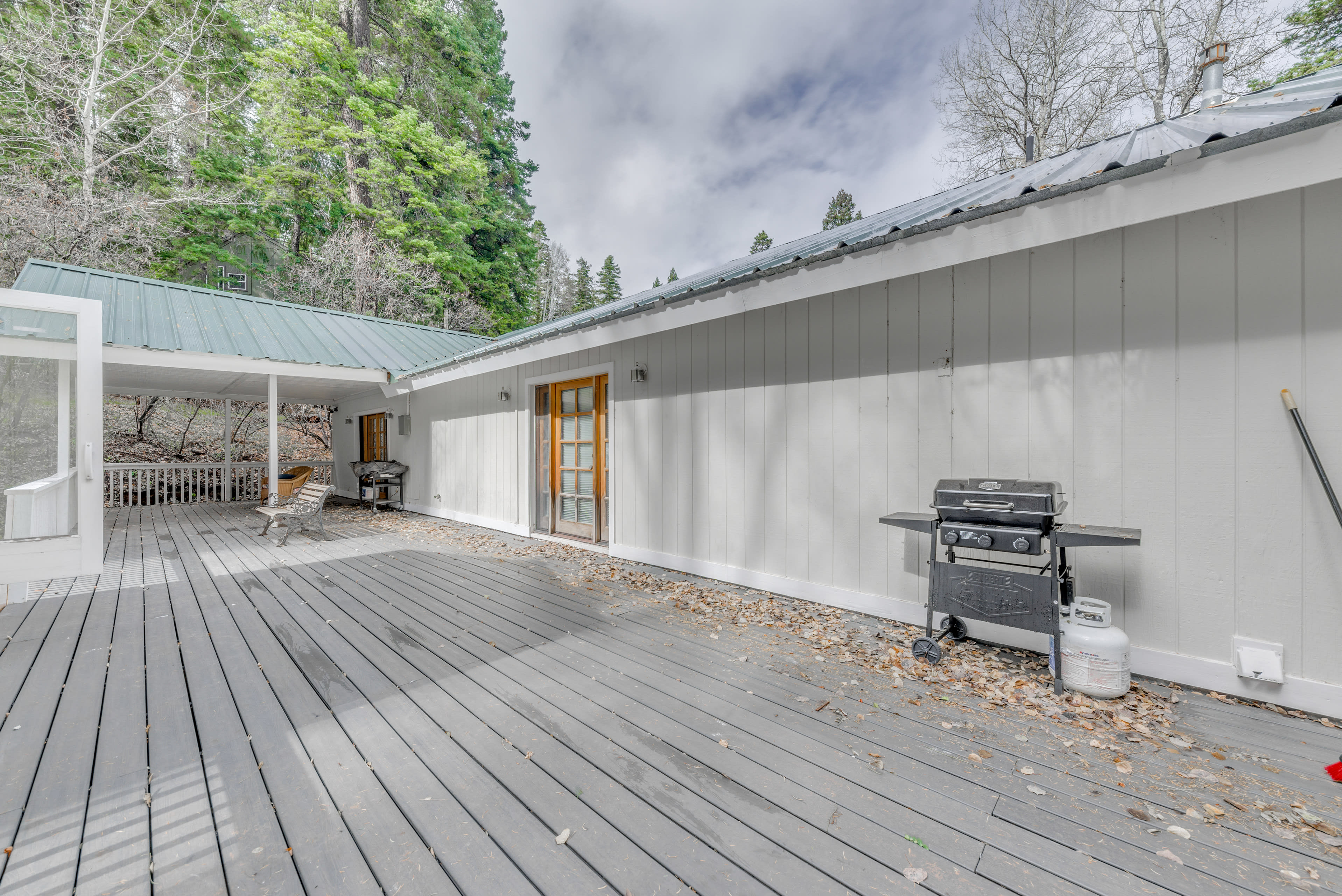 Back Deck | Gas Grill | Charcoal Grill