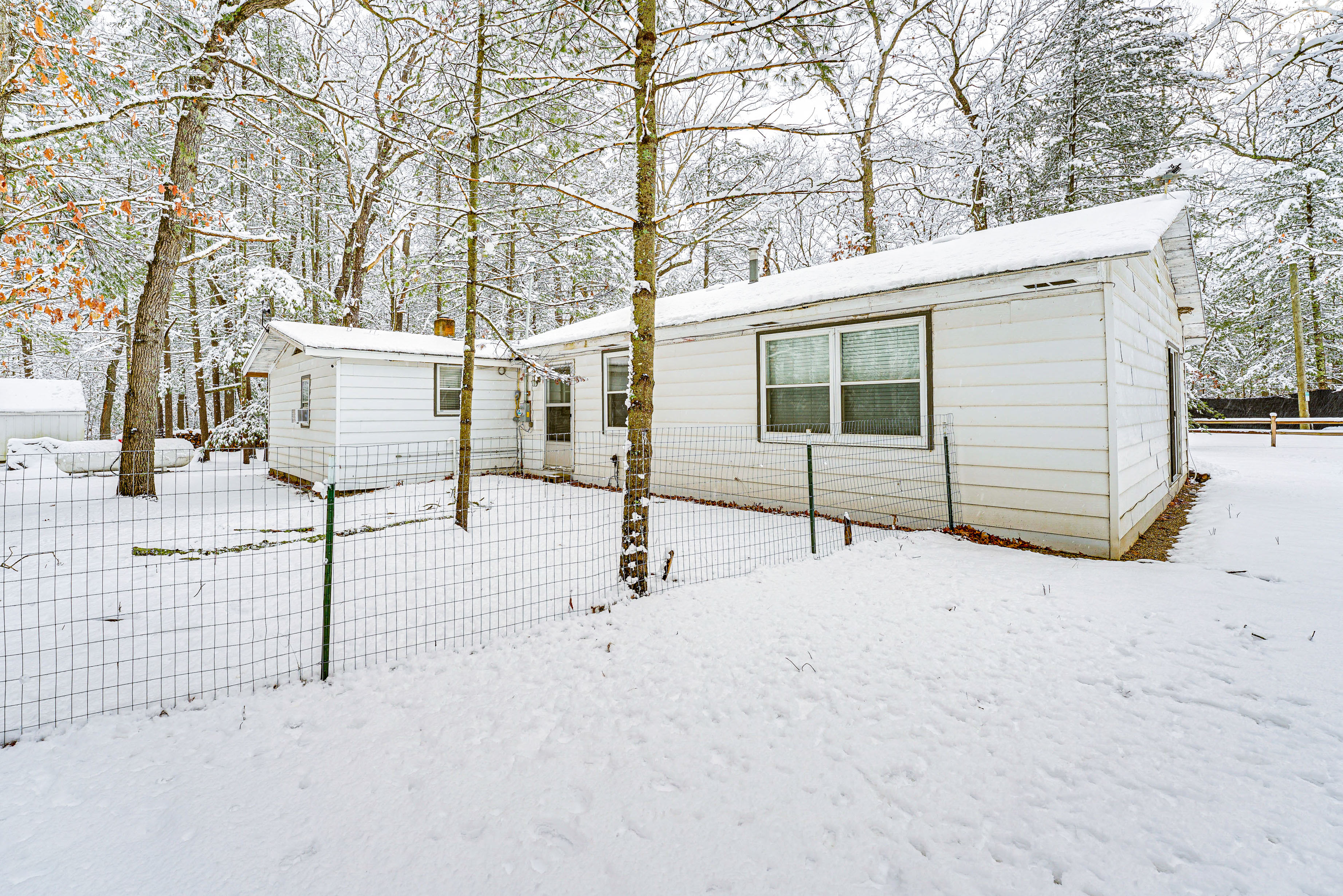 Fenced Backyard