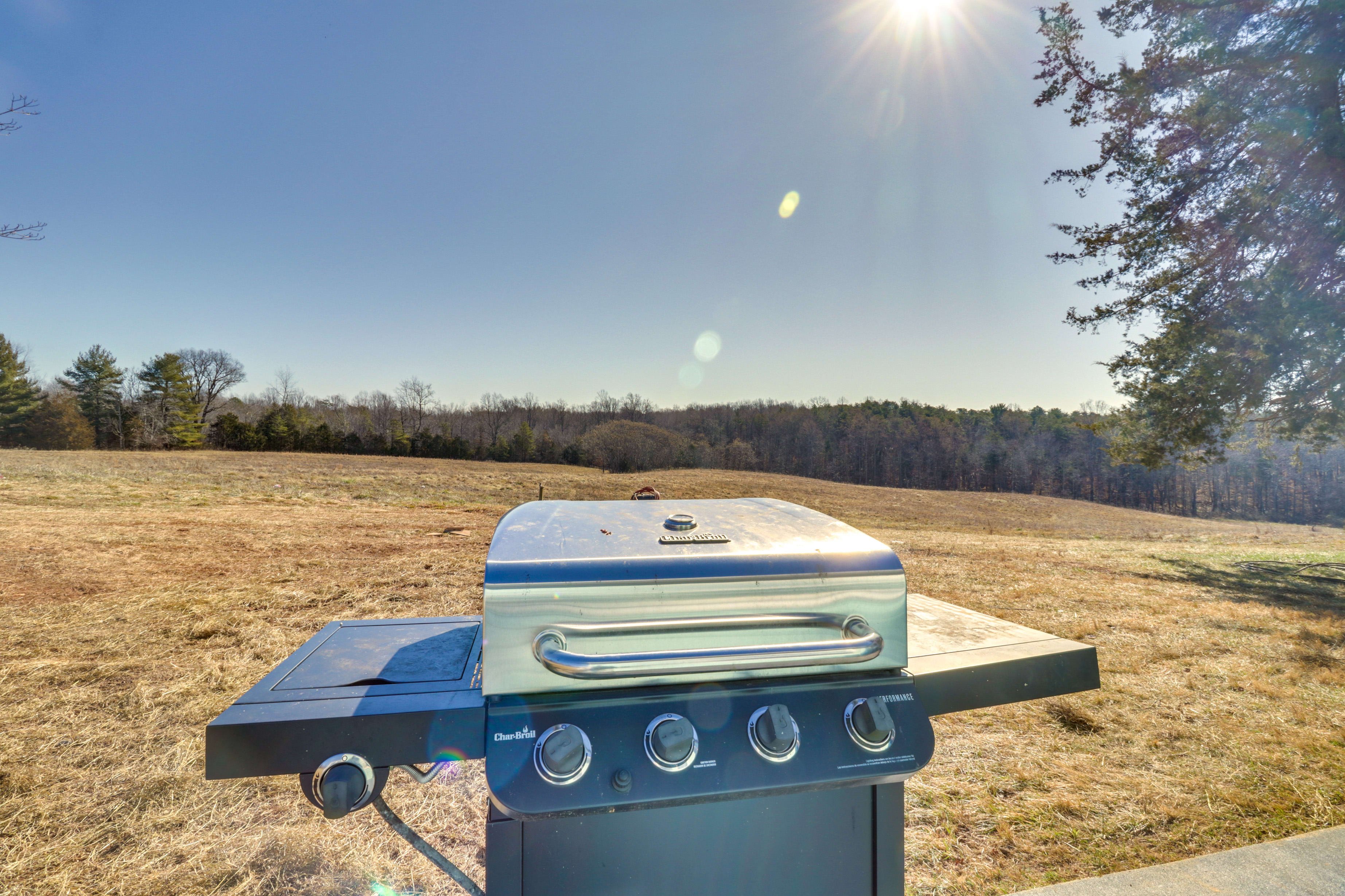 Gas Grill (Propane Provided)