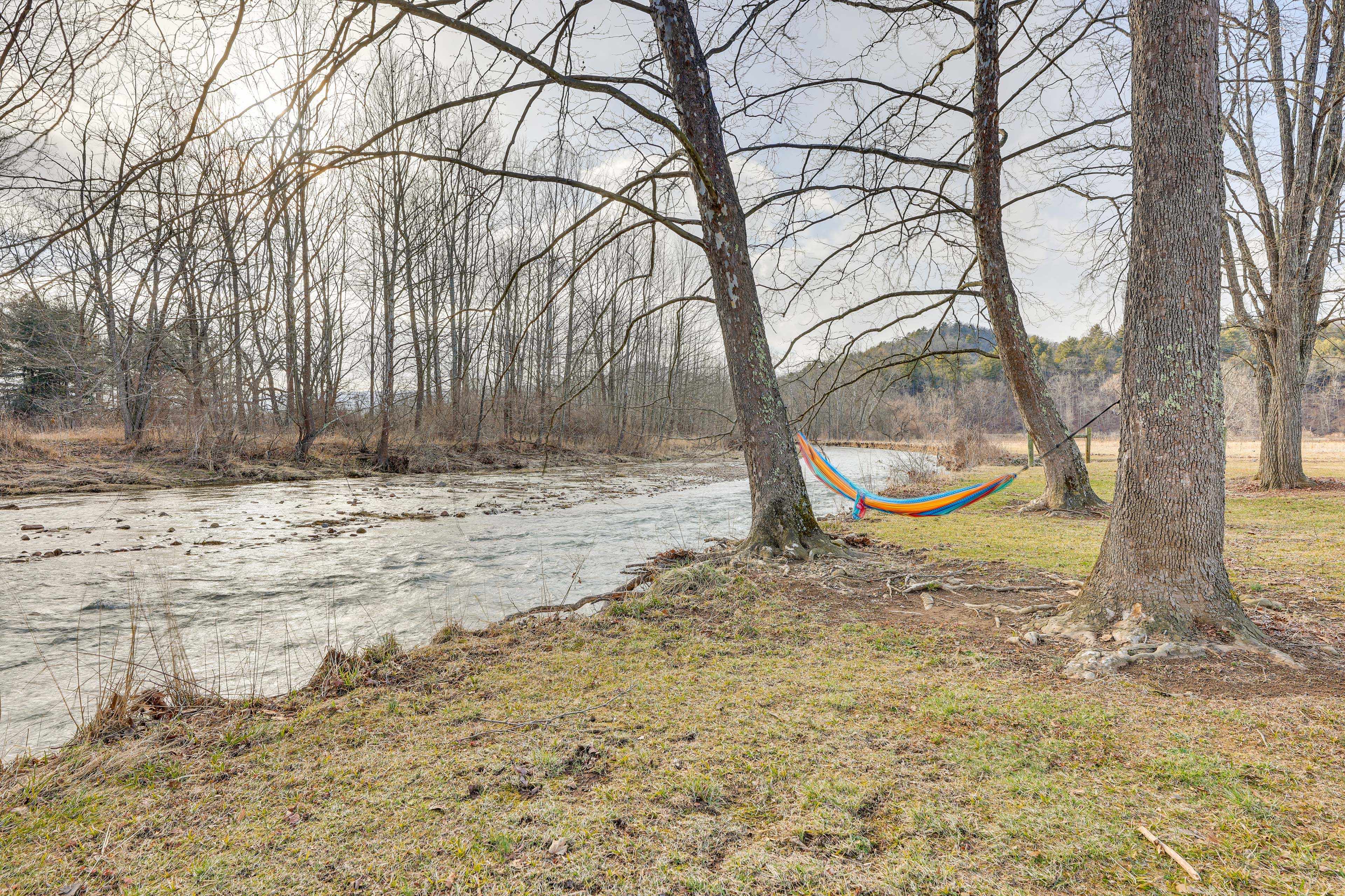 Riverfront | Hammock