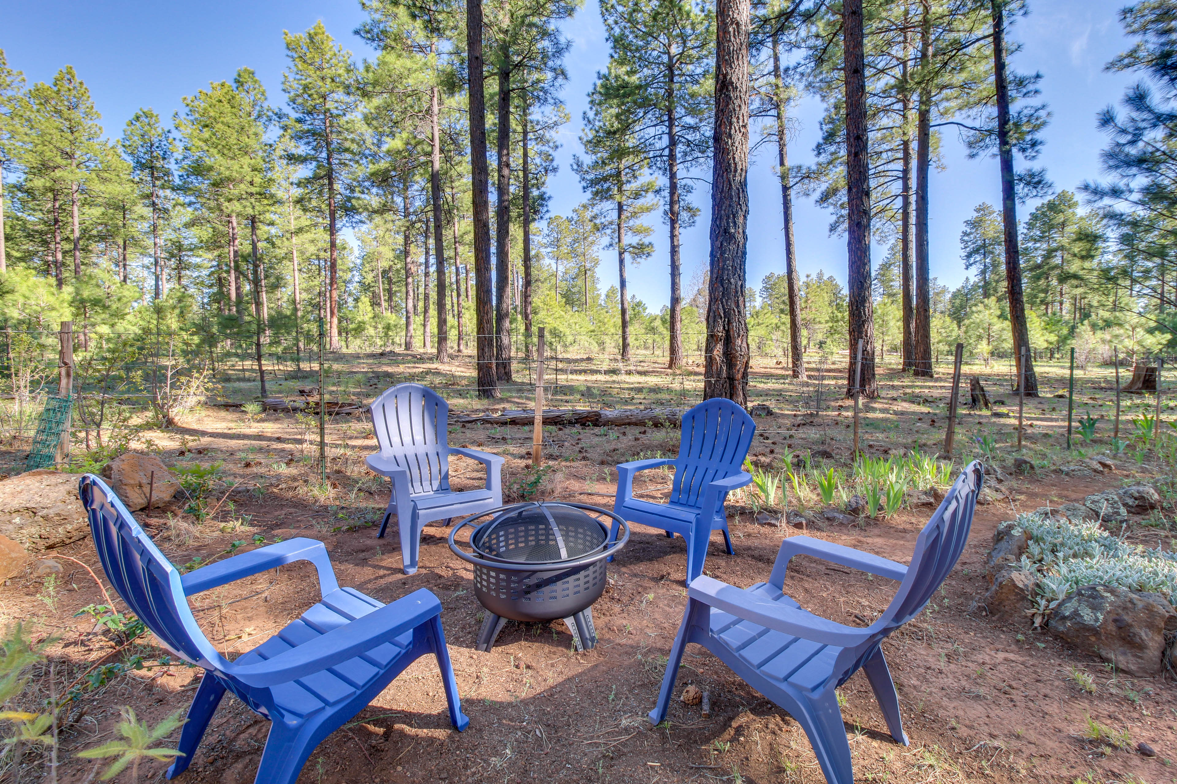 Wood-Burning Fire Pit | Forest Views