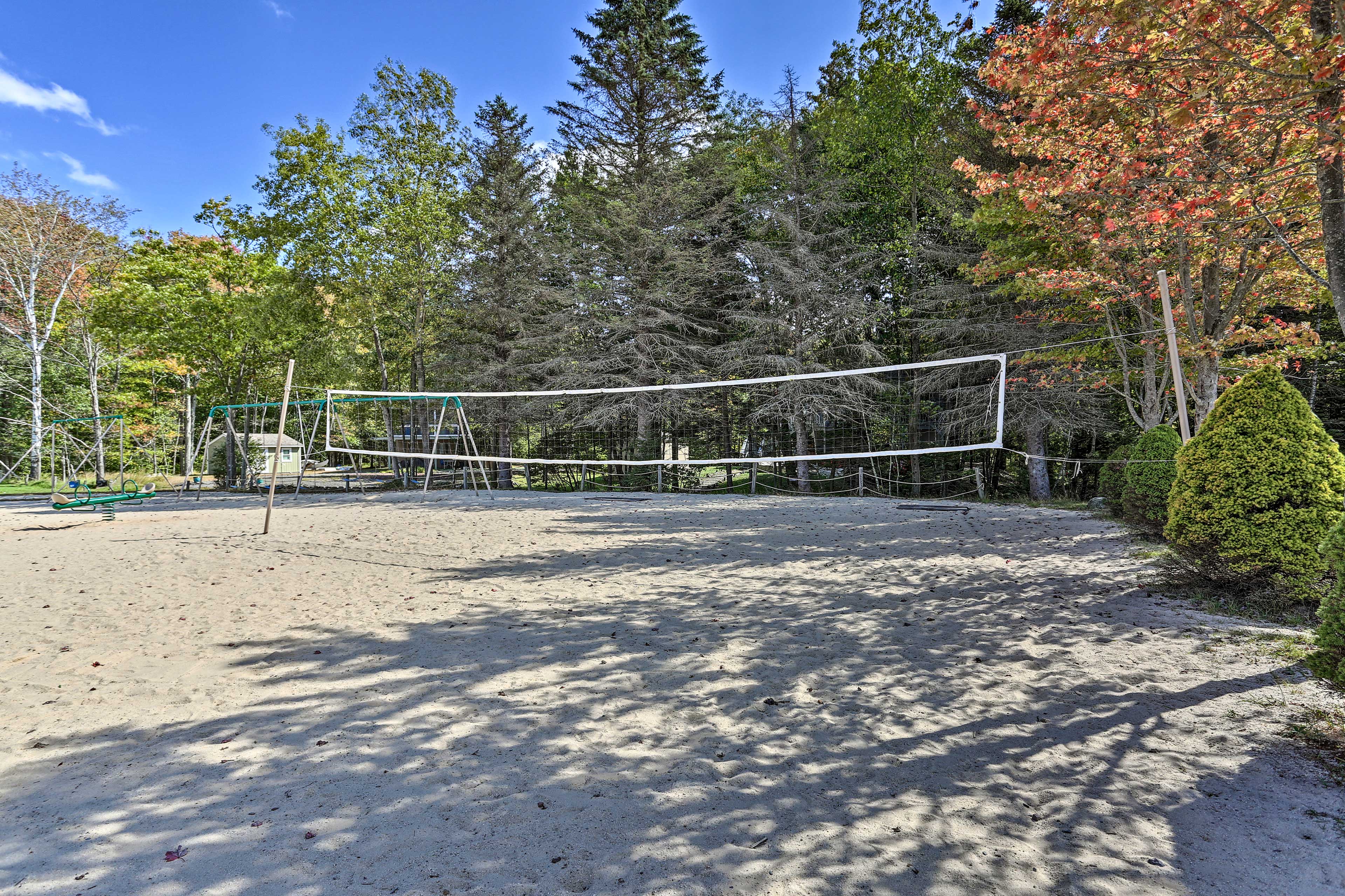 Volleyball Court