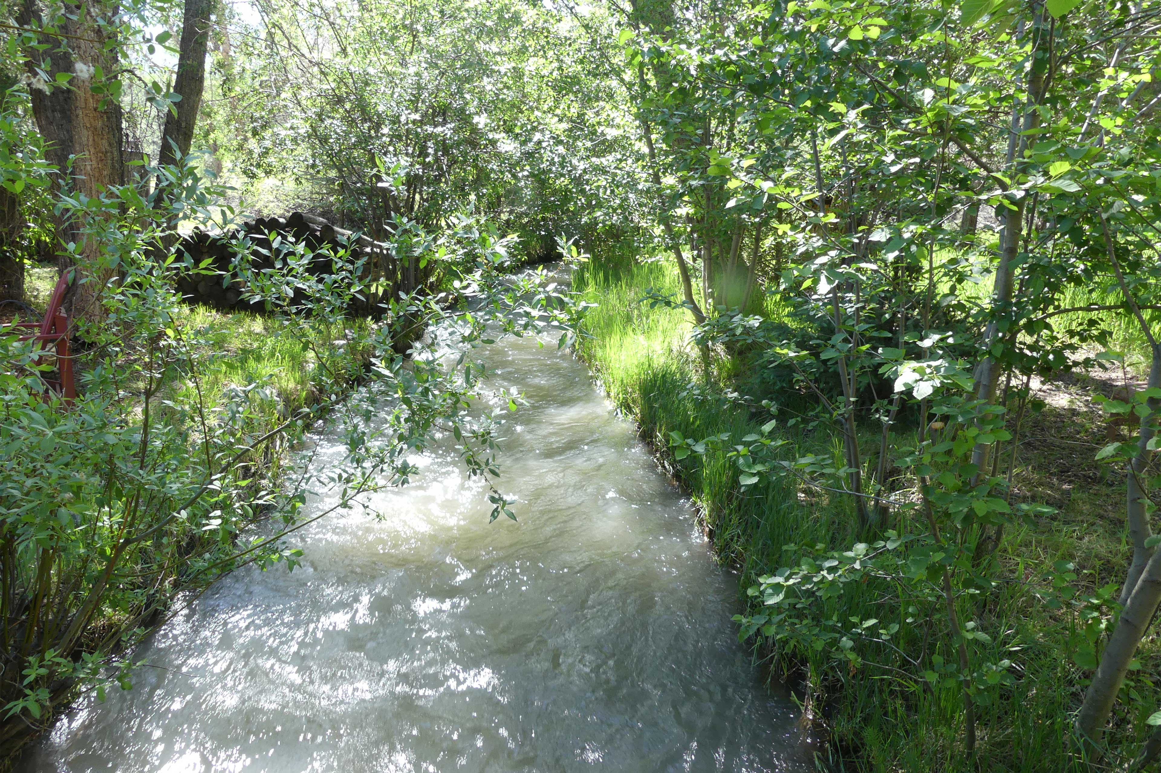 Cabin in Beautiful Setting Between Ouray & Ridgway Evolve