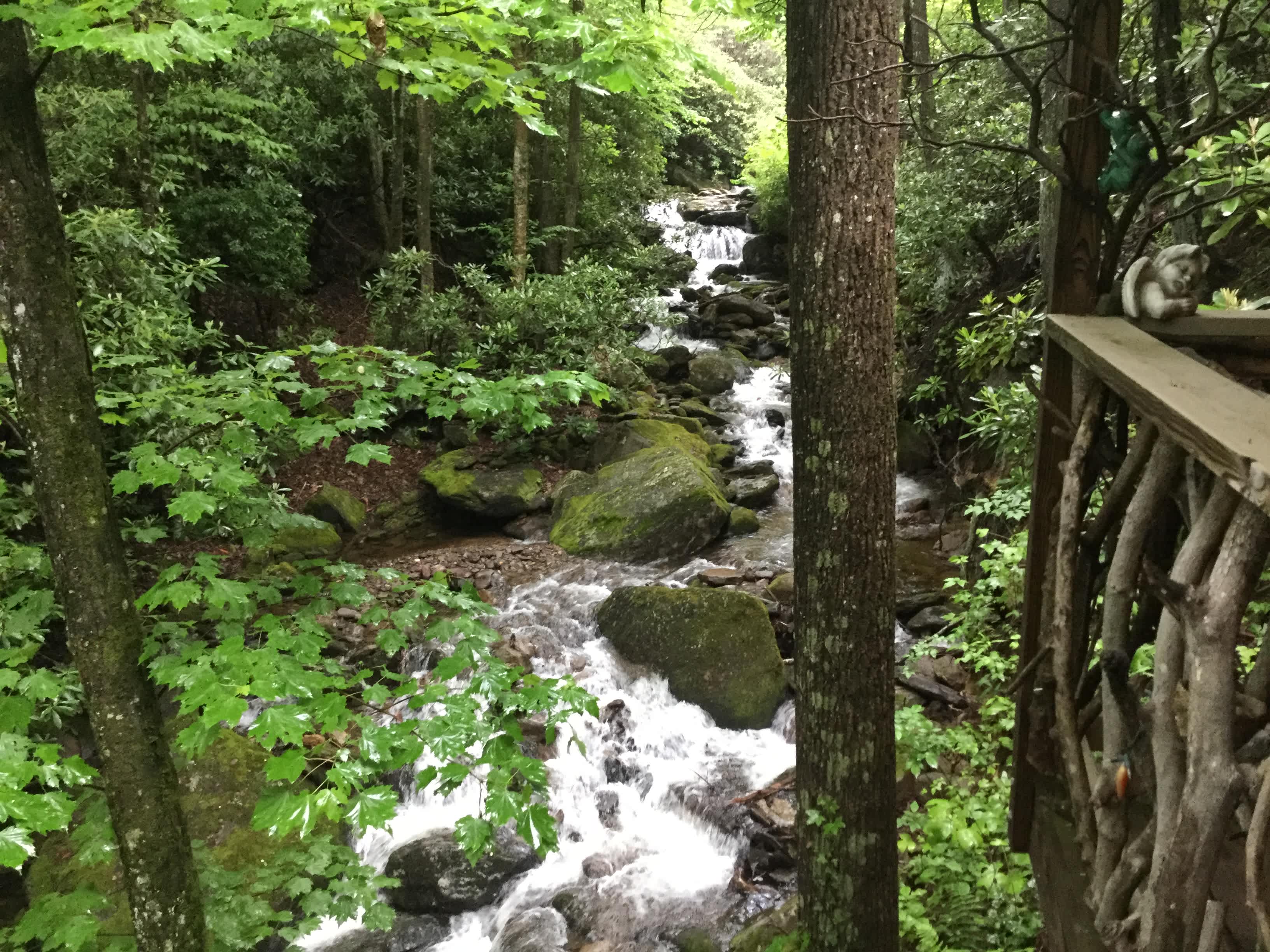Waterfall Cabin in the Pisgah National Forest! Evolve