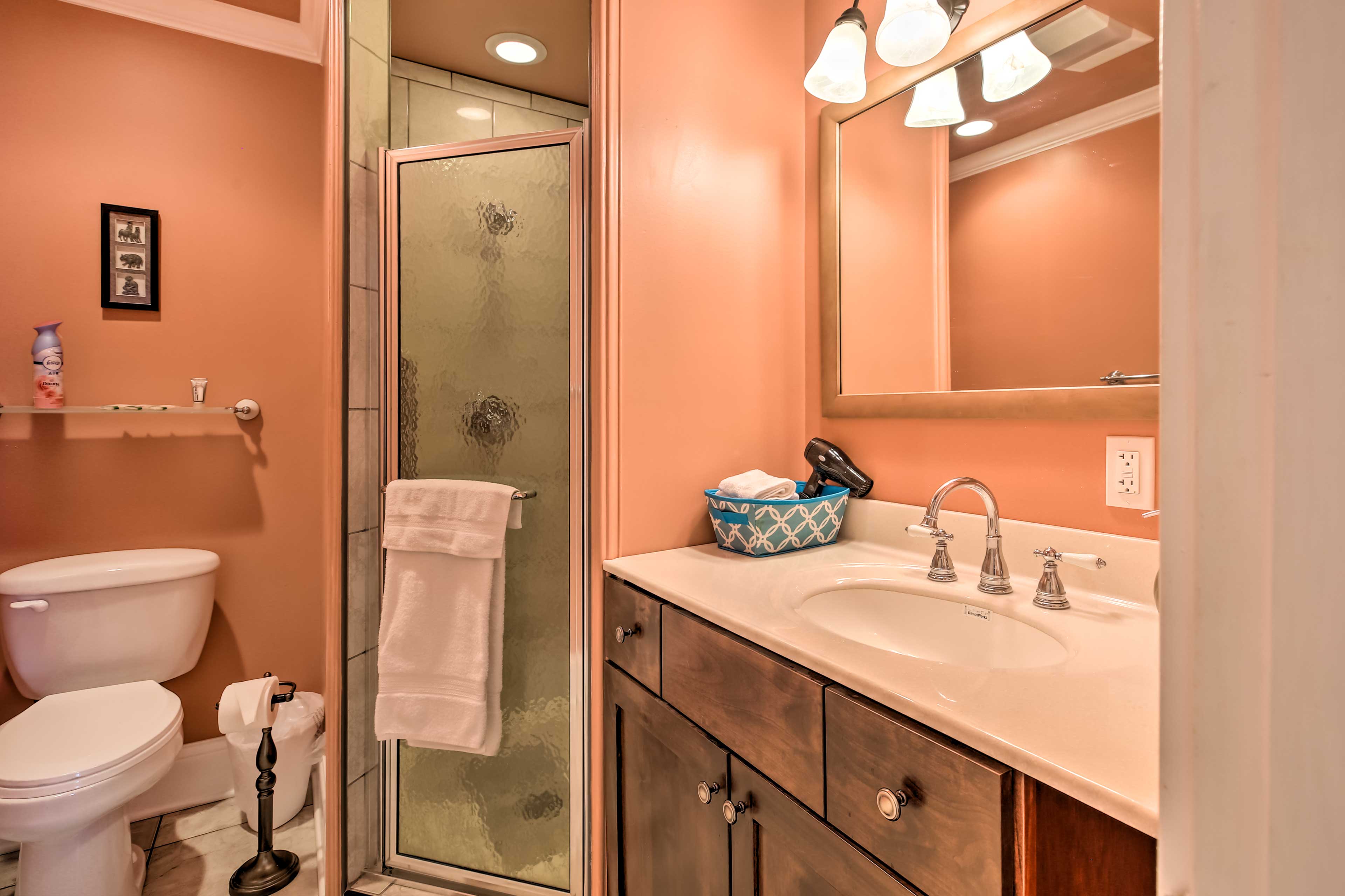 Modern Studio Apartment in Central Williamstown! Evolve