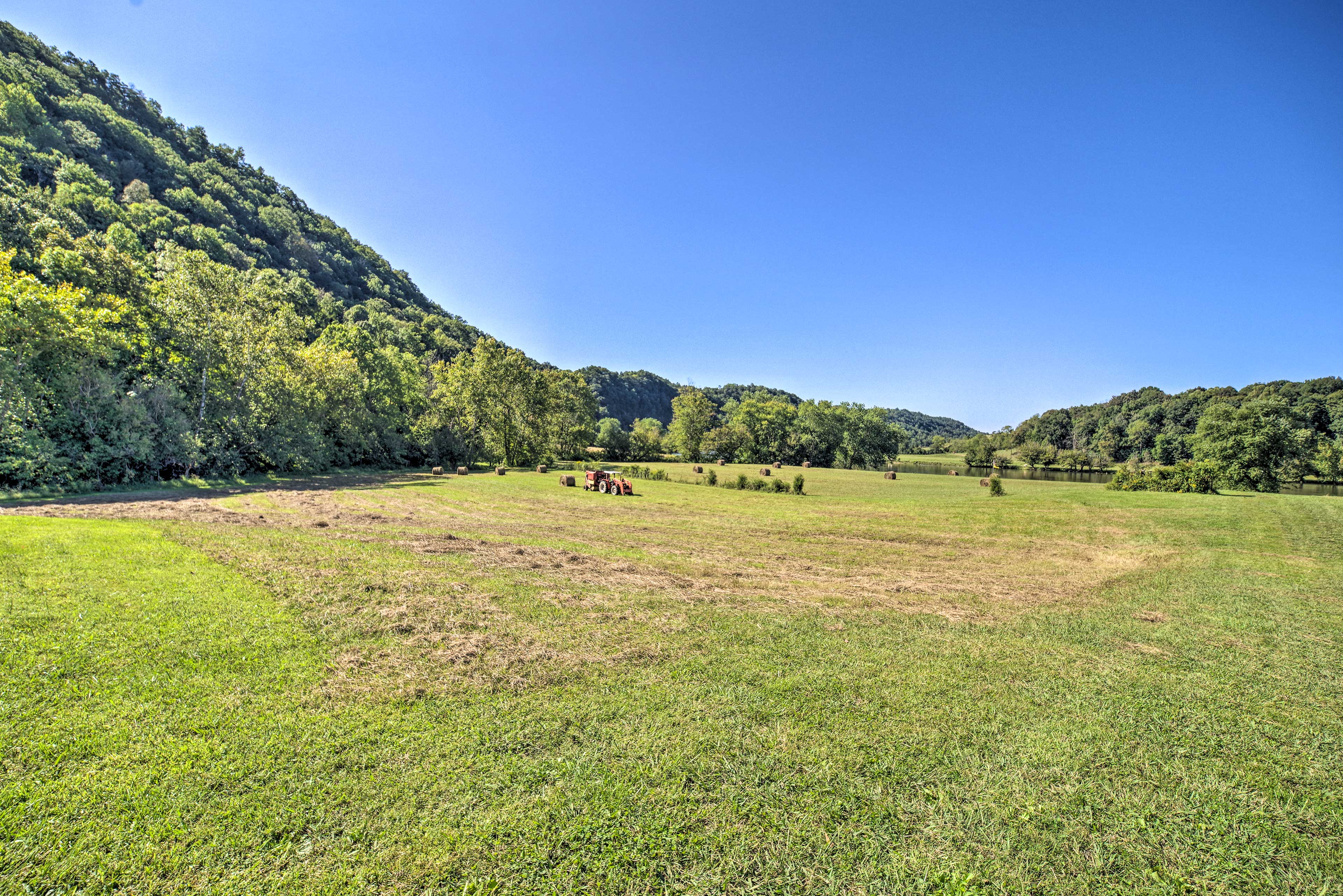 Rogersville Barn Apt on 27 Tranquil Acres w/ Pond! Evolve