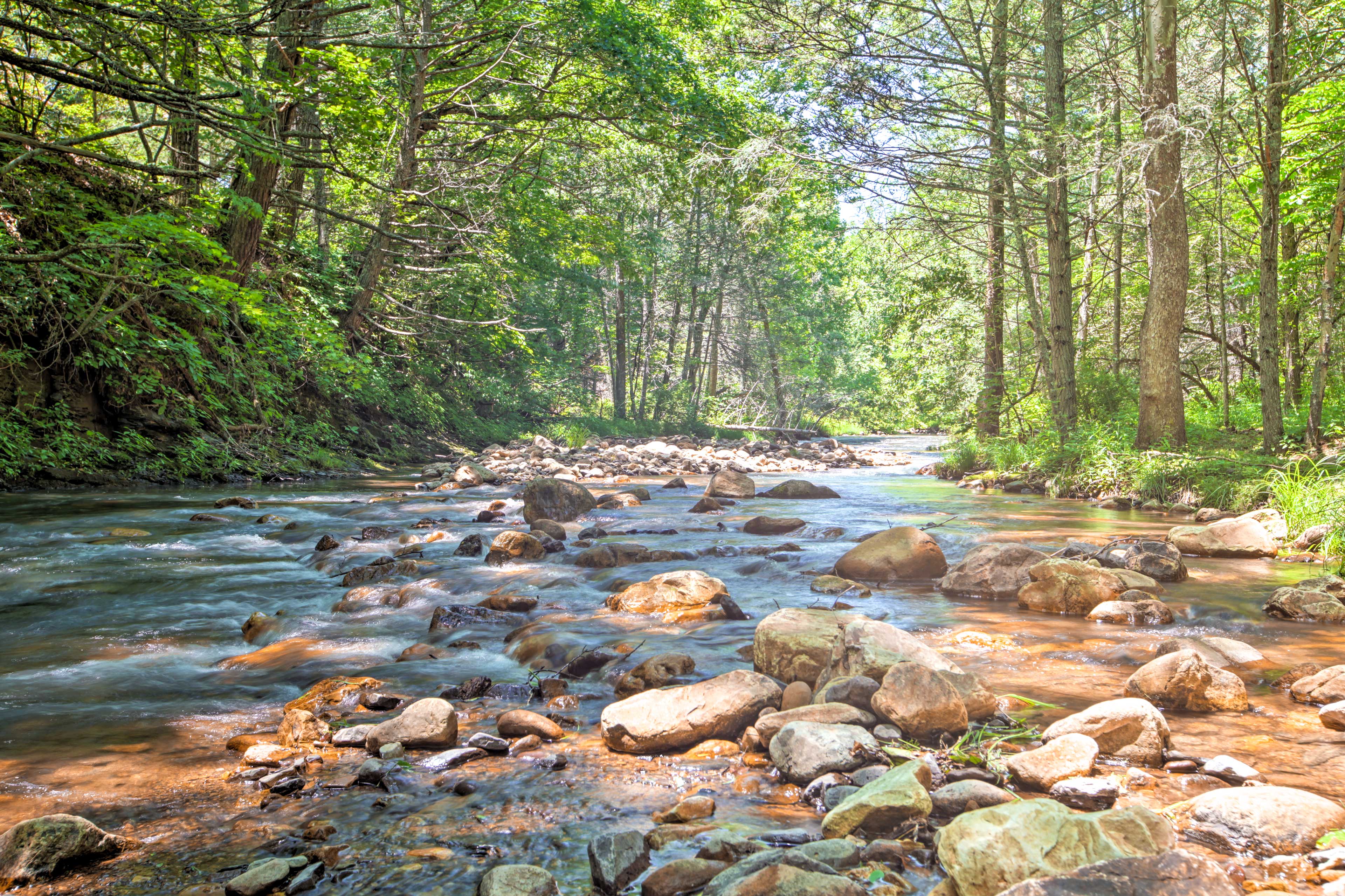 'Clearwater Cabin' on 10 Acres w/ Trout Stream! McDowell, VA Evolve