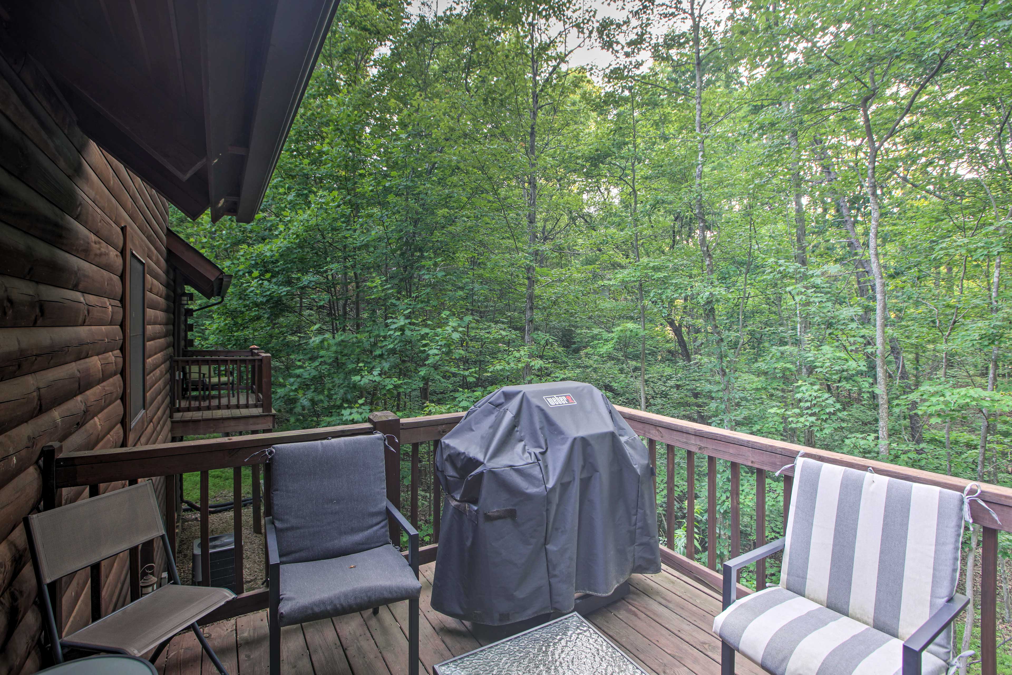 Cozy 'Owl Lodge' Cabin Relax or Get Adventurous! McGaheysville, VA