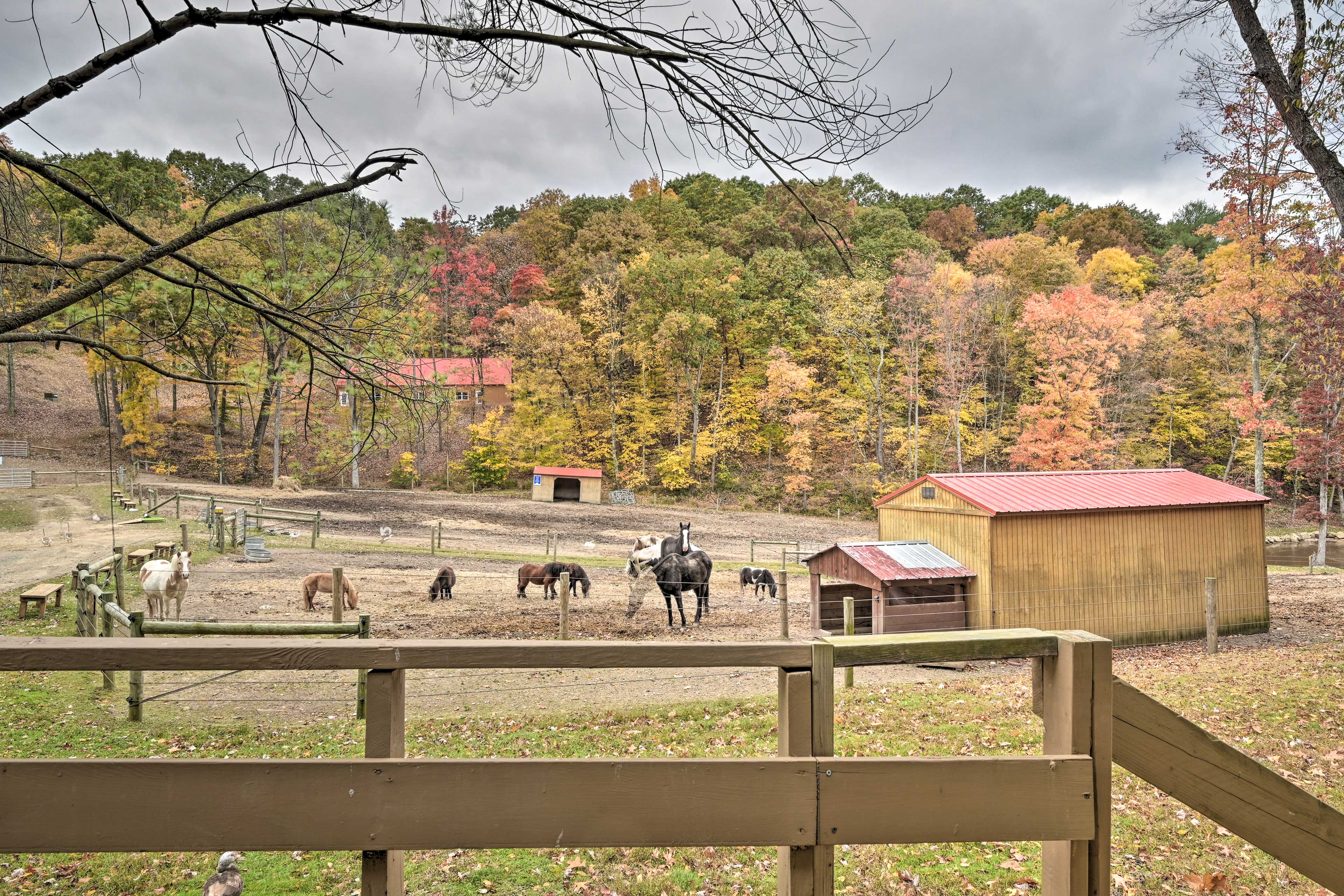 'Lone Ranger' Cabin w/ 50 Acres by Raystown Lake Huntingdon, PA Evolve