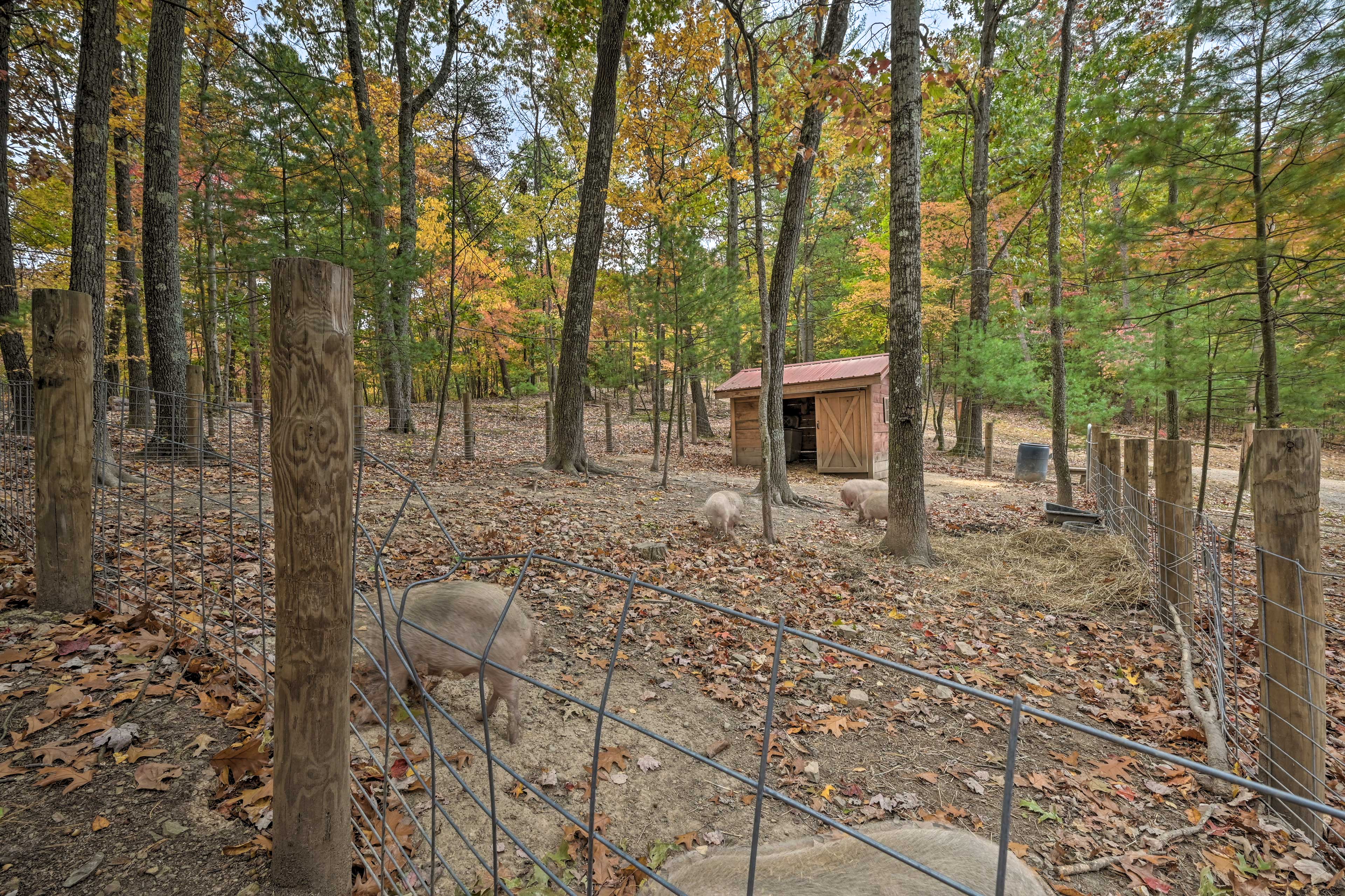 'Lone Ranger' Cabin w/ 50 Acres by Raystown Lake Huntingdon, PA Evolve
