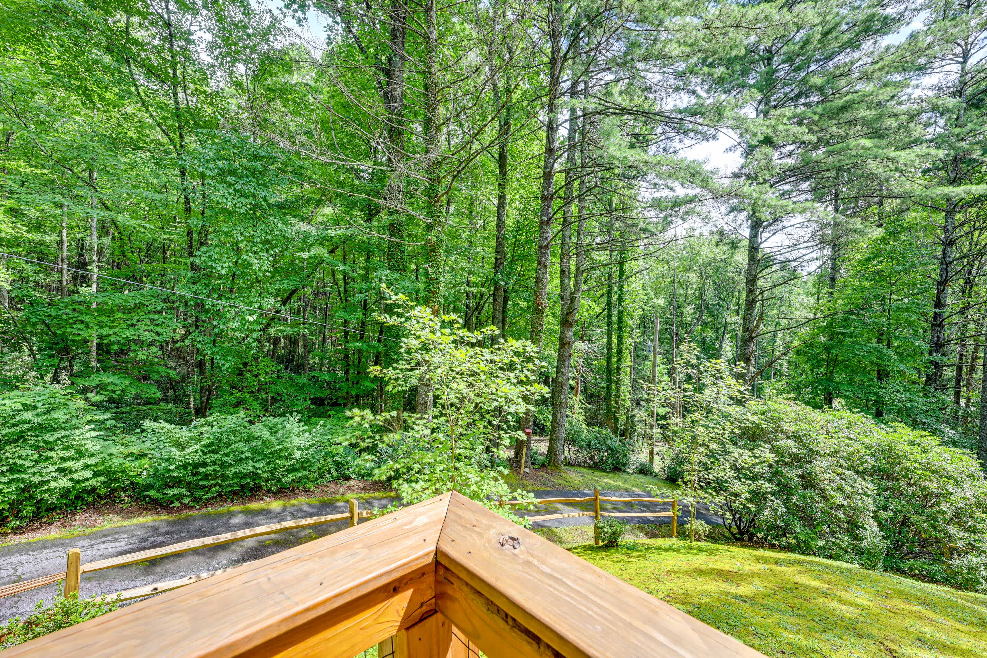 Heavenly Bearadise Cabin in Cashiers, NC! Evolve