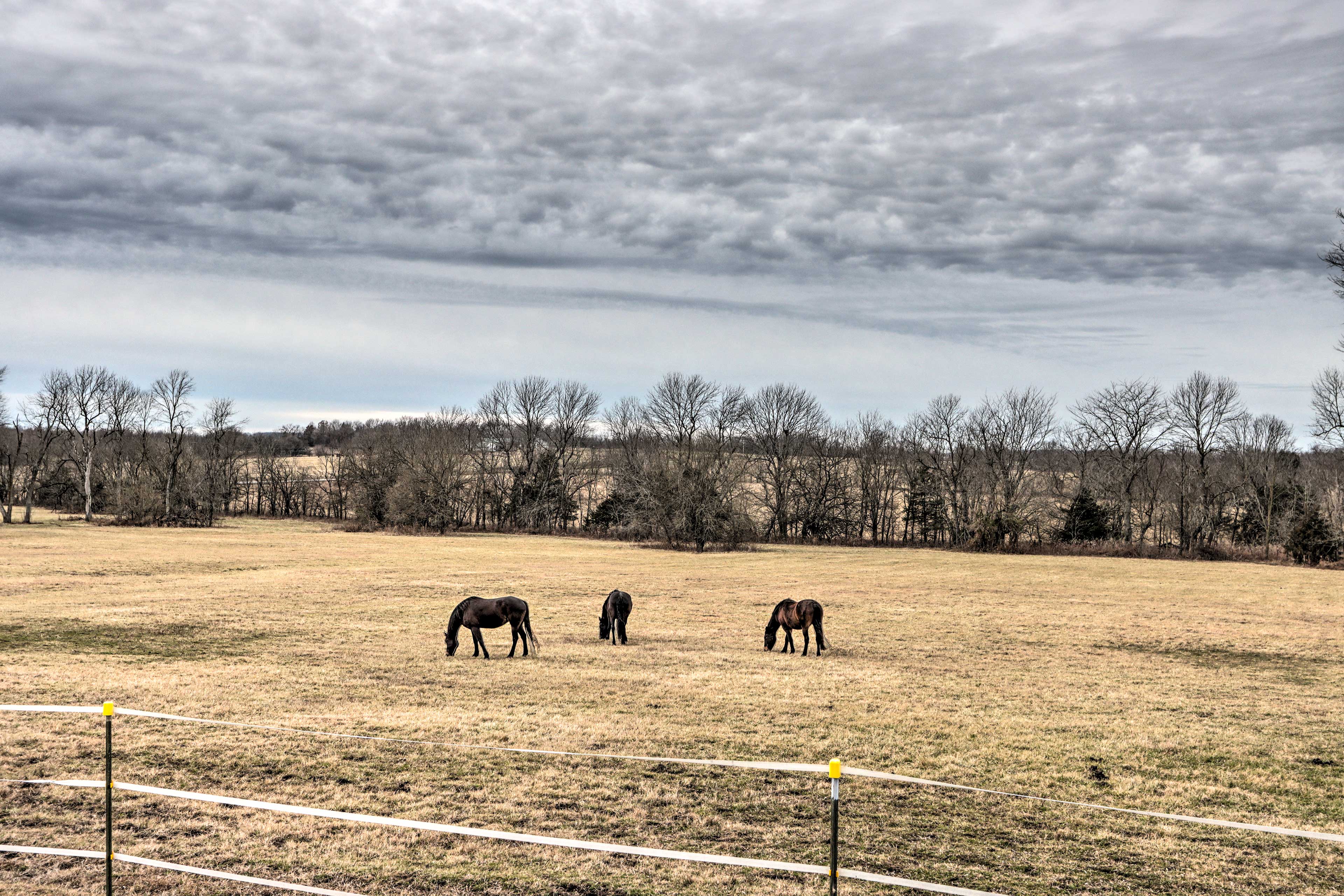 Scenic Buffalo Rental Near Niangua River Access! Evolve