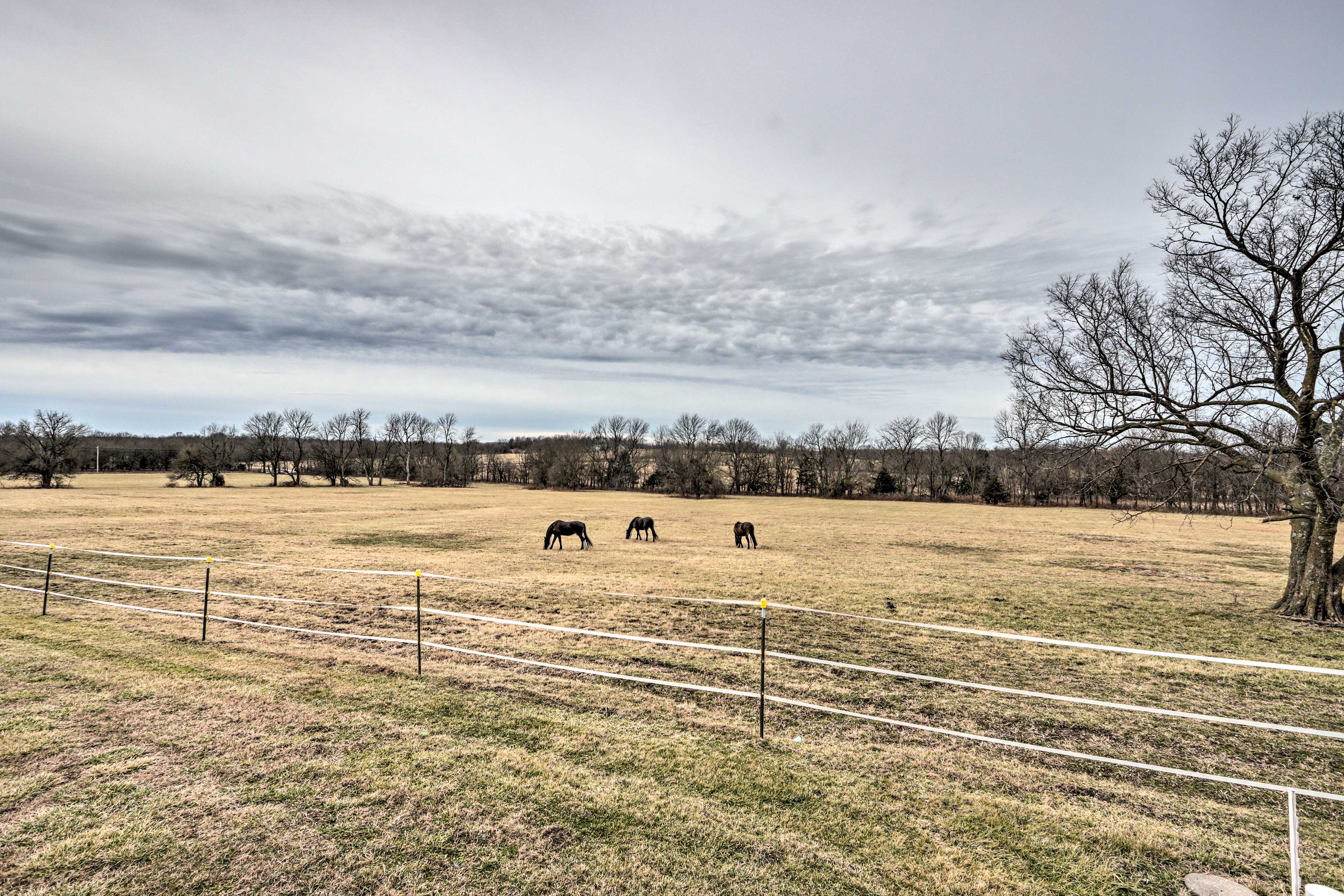 Scenic Buffalo Rental Near Niangua River Access! Evolve