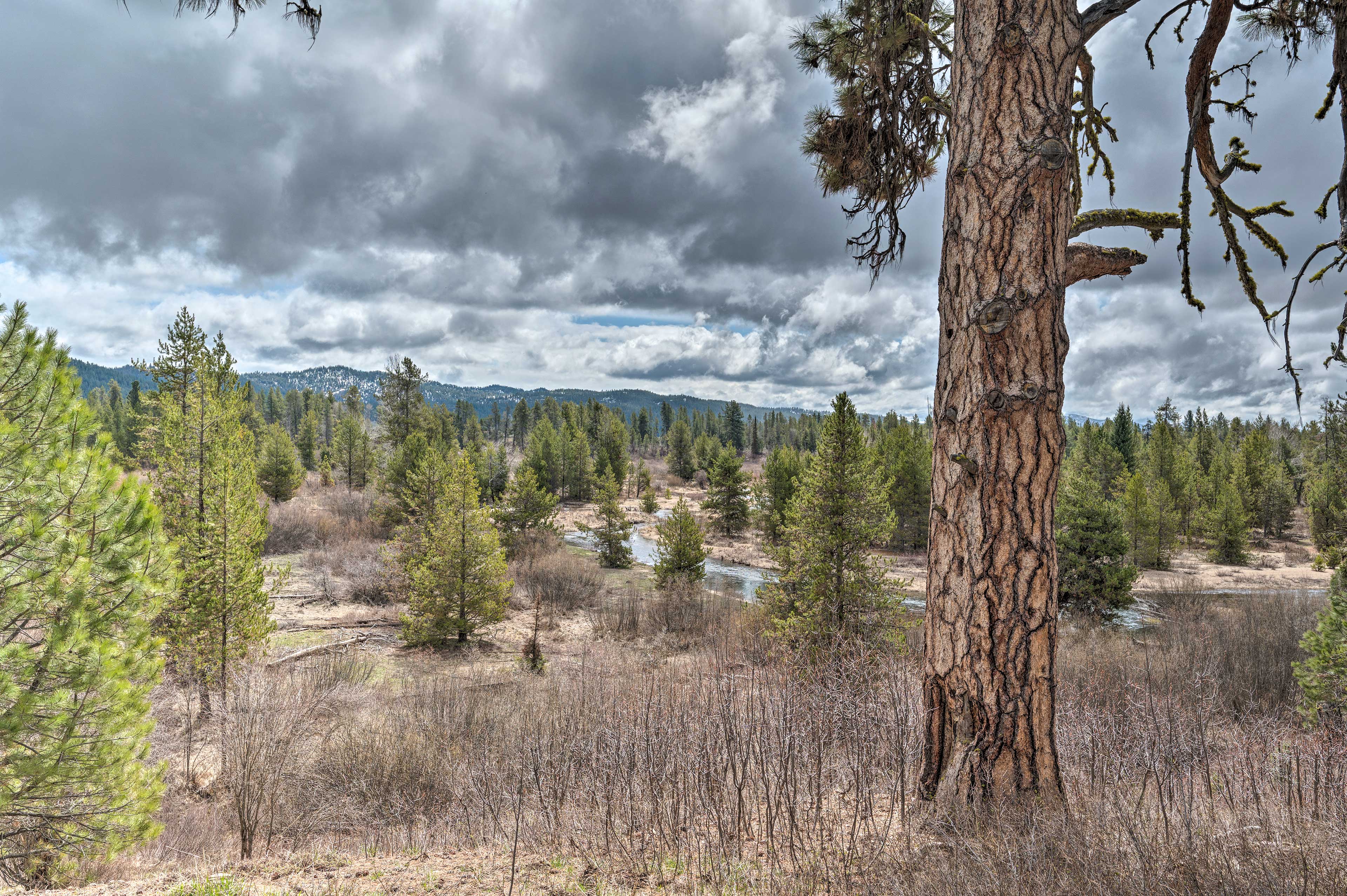 Private McCall Apartment w/ Mountain View! Evolve