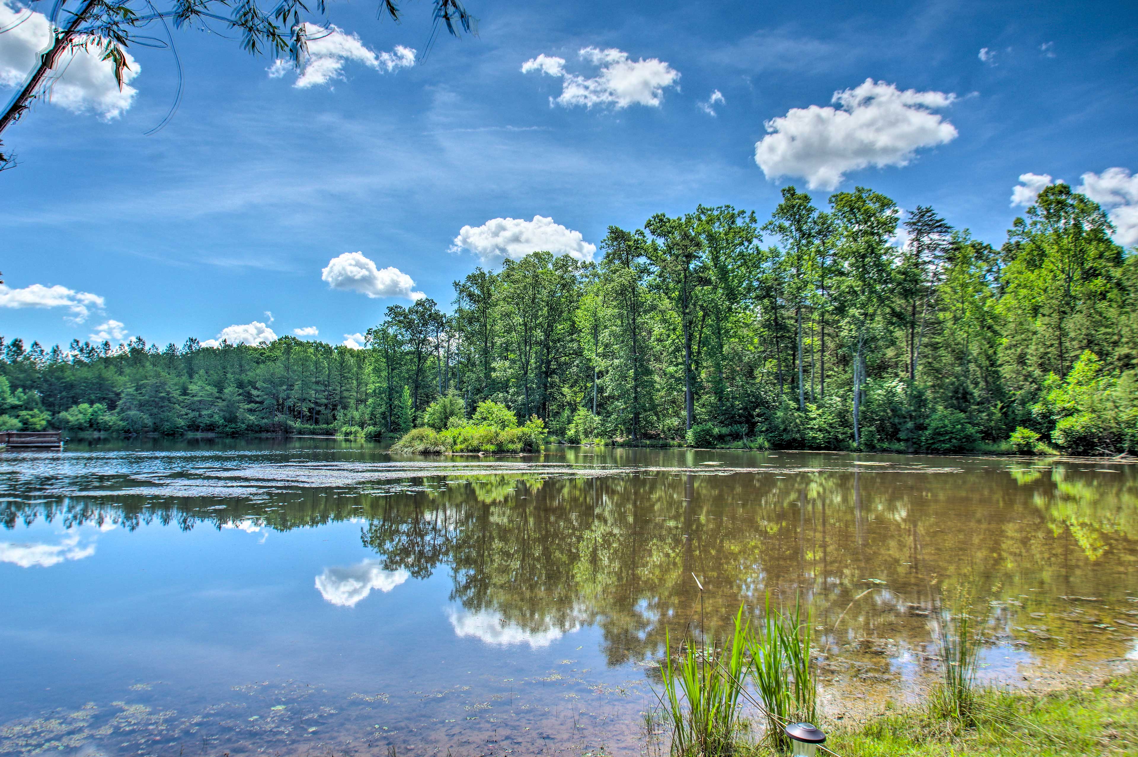 Charming Lakefront Cabin Fish, Hike & More! Scottsville, VA Evolve