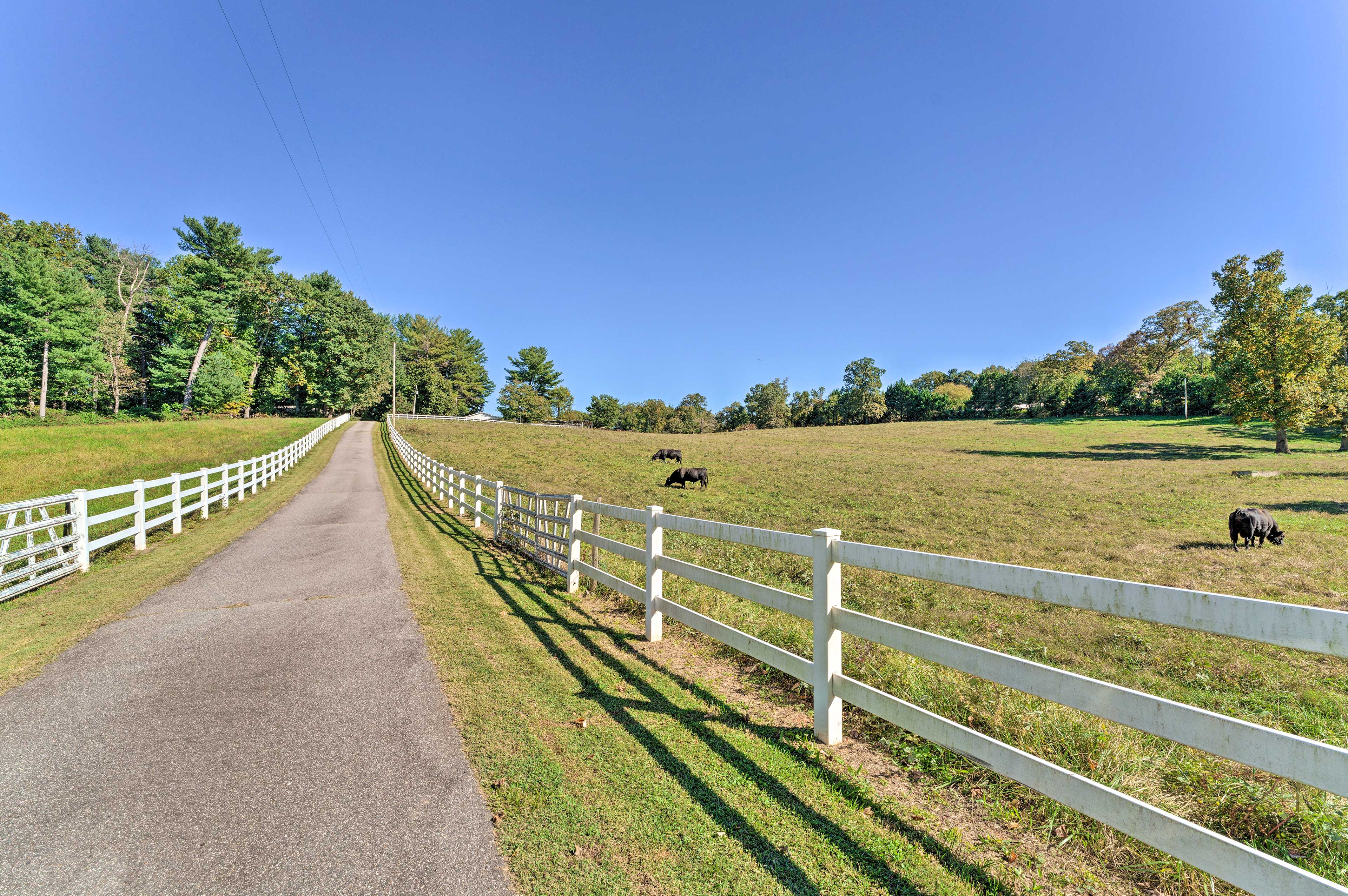 Dobson Getaway w/ Private Pool & Game Room! Evolve