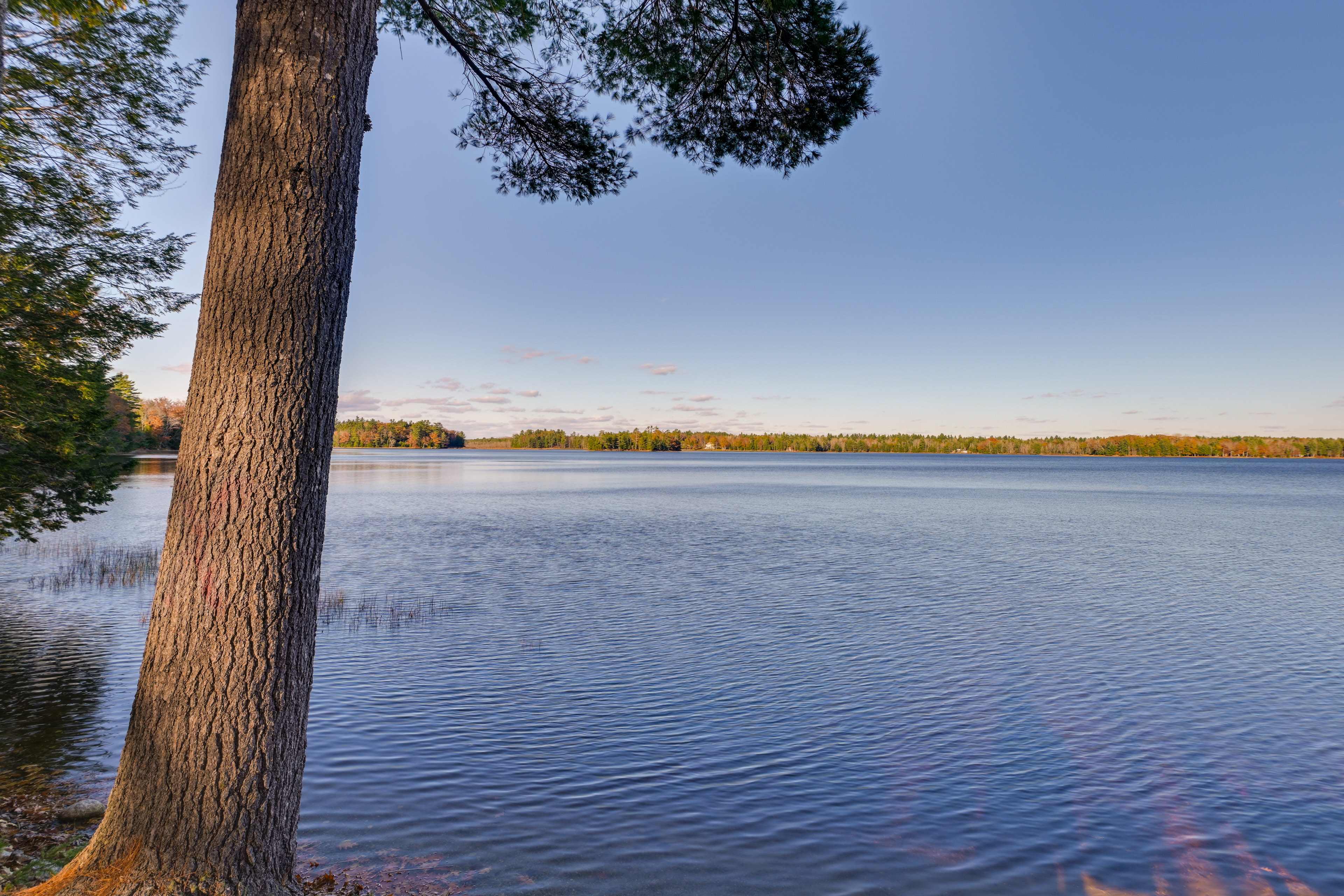 Cozy Chemo Pond Cabin w/ Dock & Waterfront Views Eddington, ME Evolve