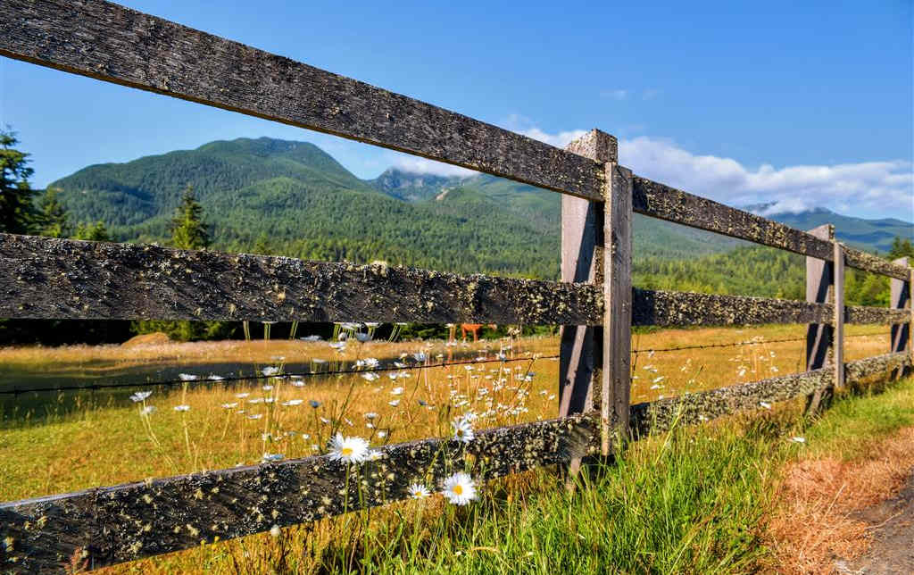 Rustic 1br Loft Port Angeles Cabin W Mtn Views