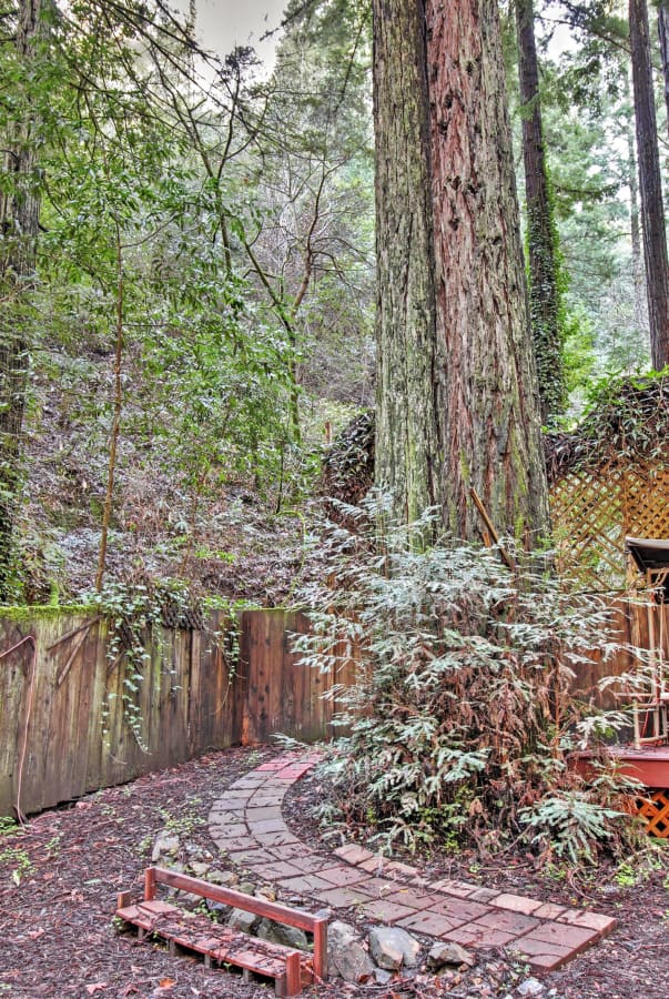 Quiet Guerneville Cottage W Redwood Forest Views