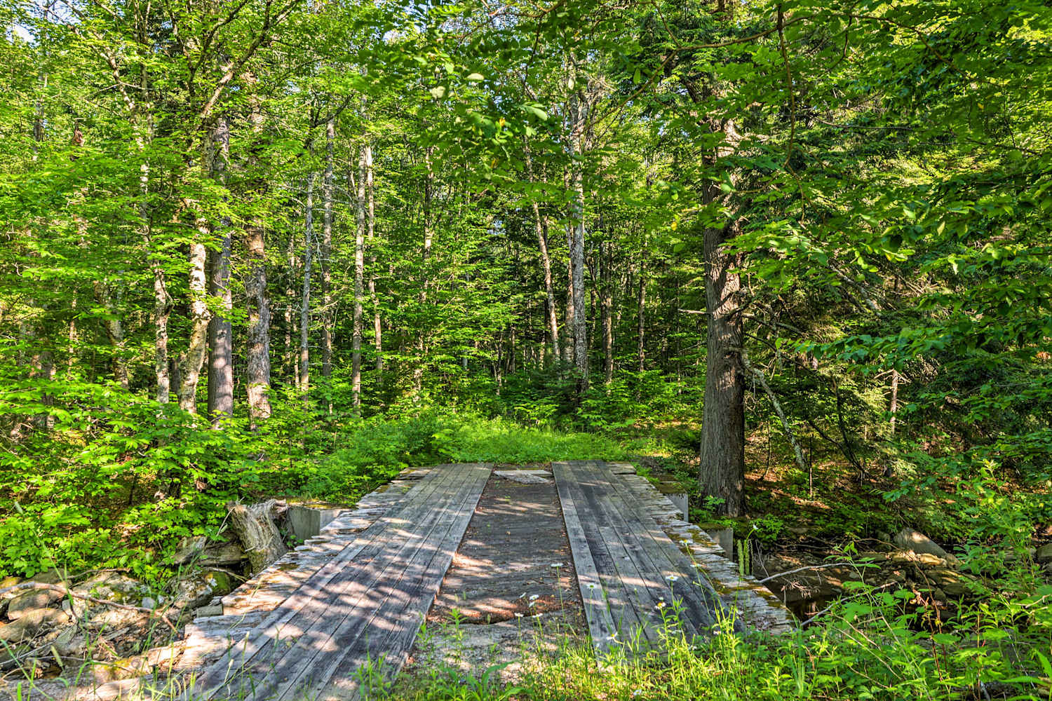 Cabin w/Deck Mins to Mt. Snow & Lake Raponda!