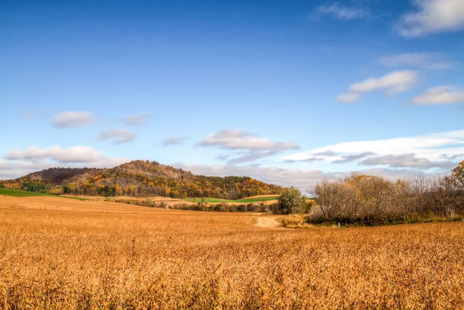 Peaceful Fountain City Farmhouse w/Fire Pit & Deck