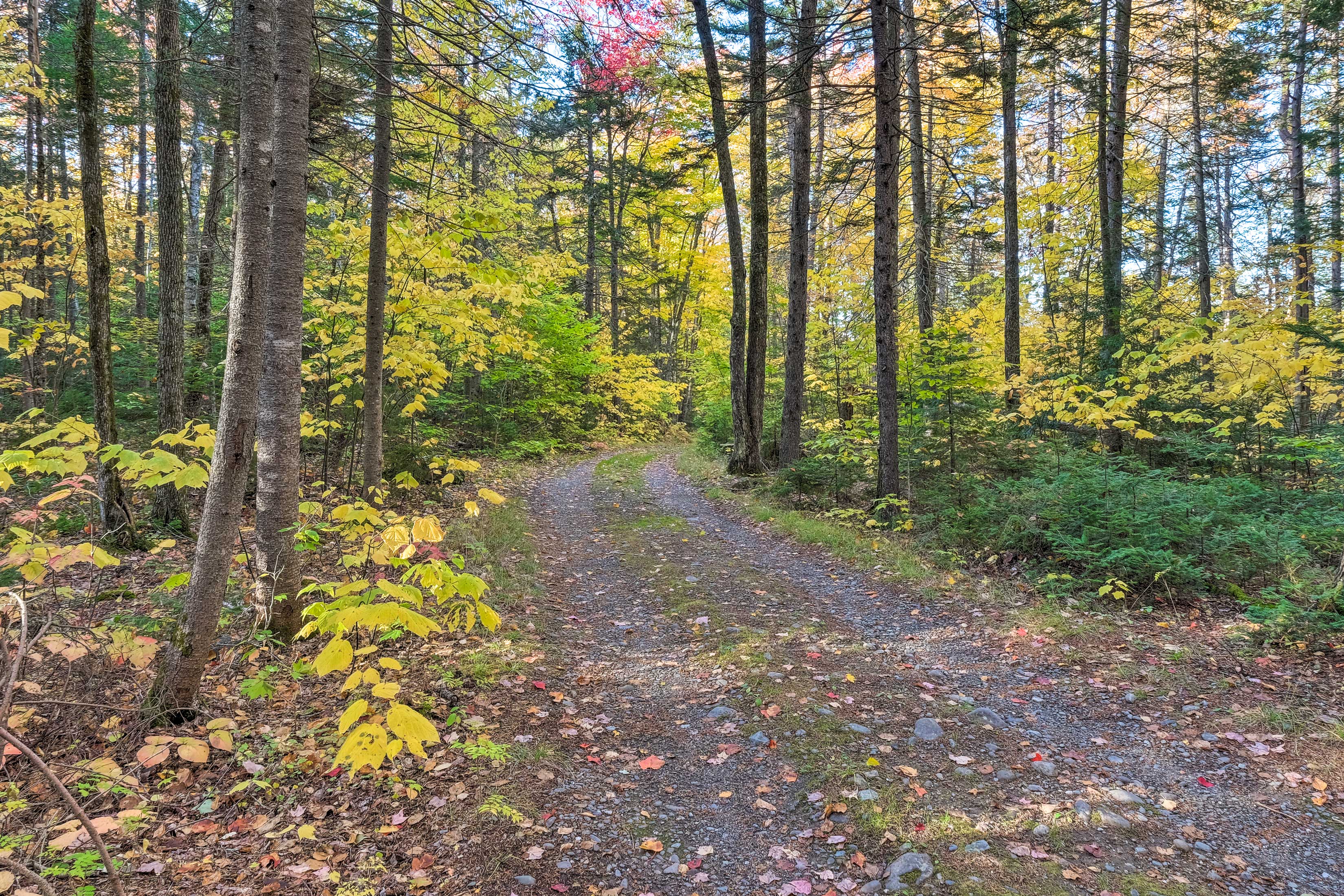 THE BEST Greenville Vacation Rentals Book Now Evolve