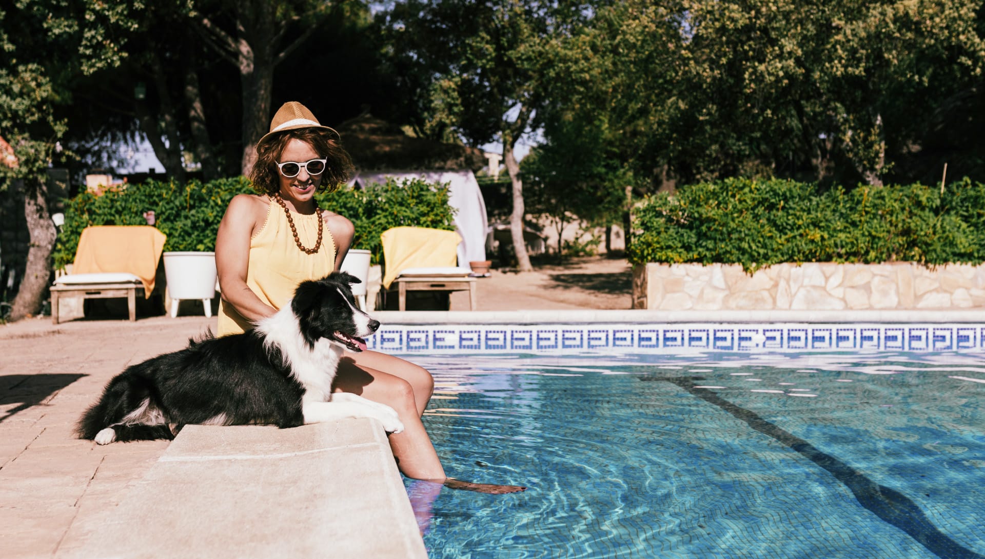 10 Pet-Friendly Vacations You Should Plan This Year