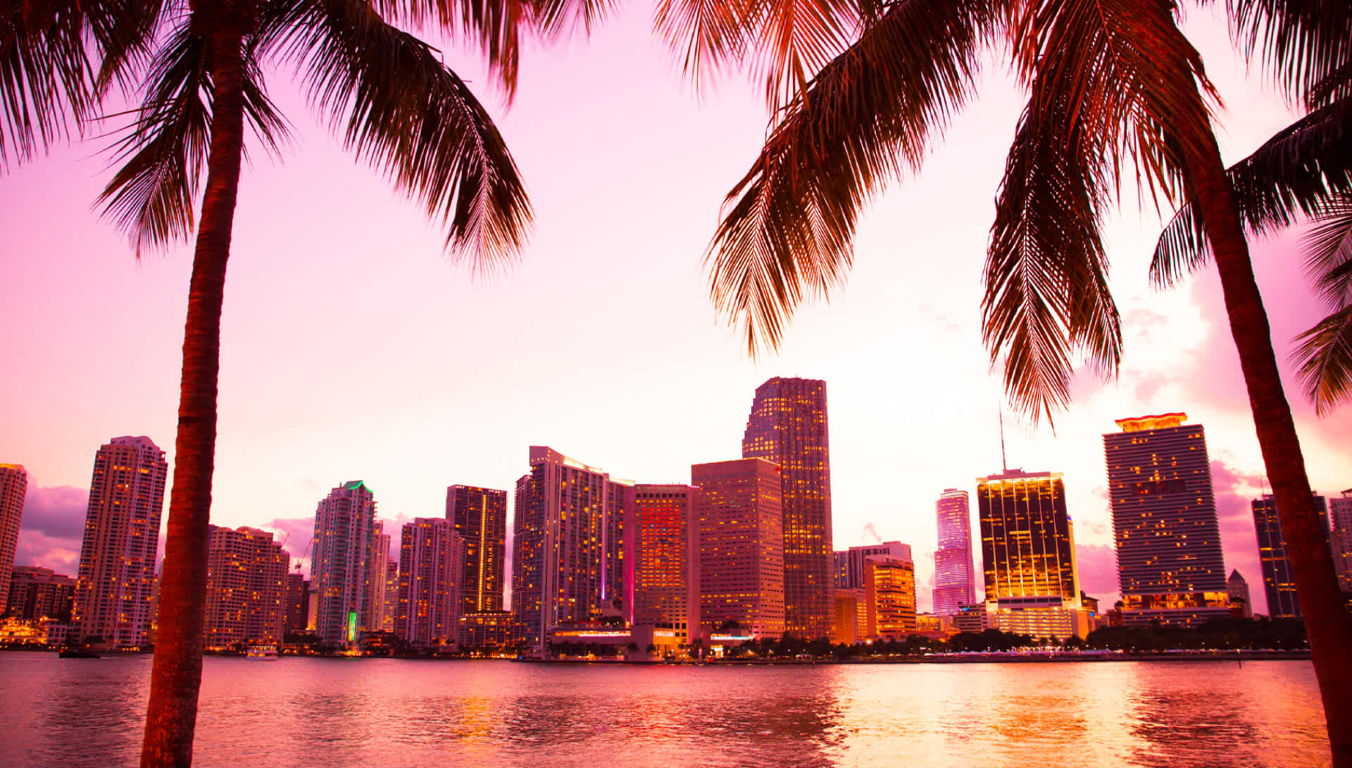 Best Things to Do in Miami, FL Beaches, Boat Tours & Beyond Evolve