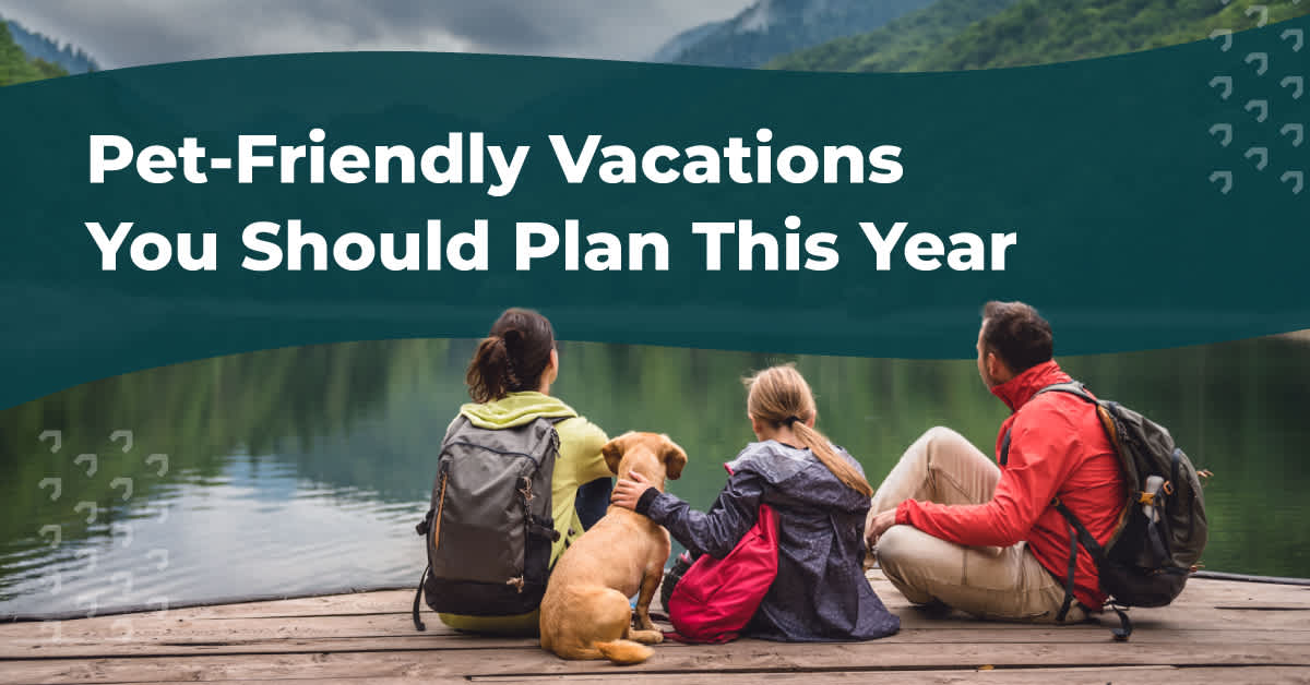 The Best PetFriendly Vacations for You and Your Dog Evolve