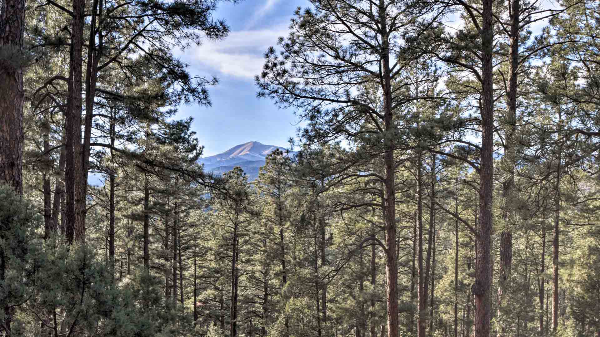 Ruidoso-CaseStudy-blog2 Ruidoso-CaseStudy-blog2