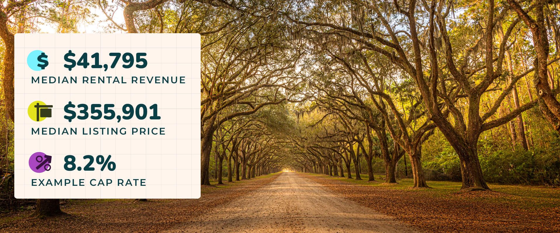 Photo of a tree-lined road in Savannah, GA, the branches meeting in the middle to create an arch. Image text reads, "$41,795 median rental revenue. $355,901 median listing price. 8.2% example cap rate."