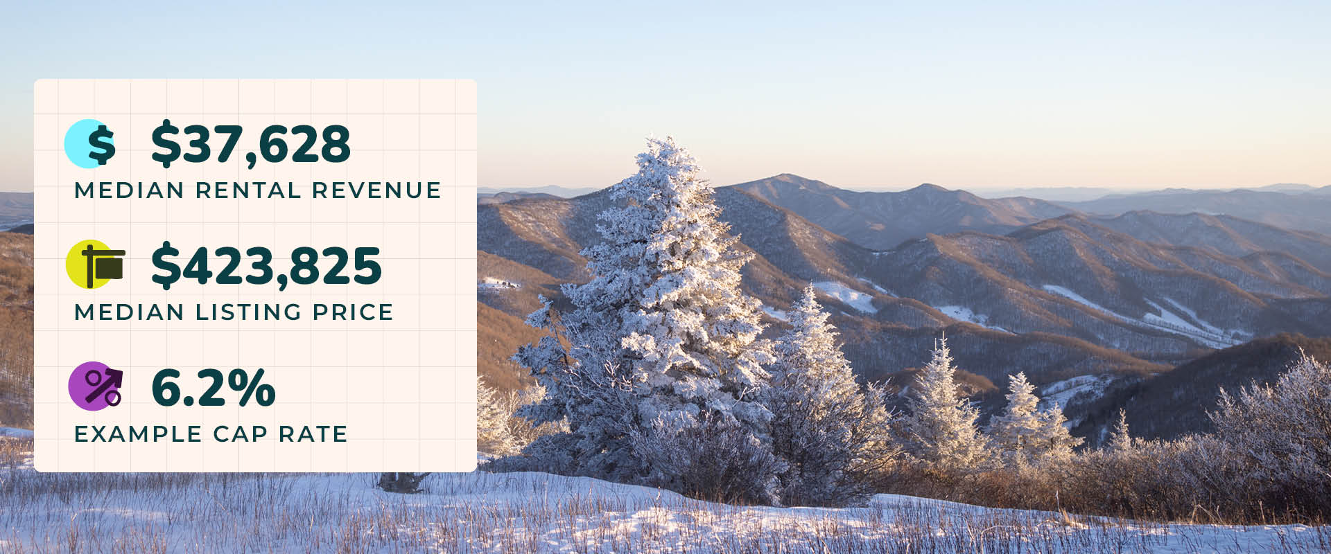Photo of a winter scene with snow on a pine tree near Boone, North Carolina. Image text reads, "$37,628 median rental revenue. $423,825 median listing price. 6.2% example cap rate."