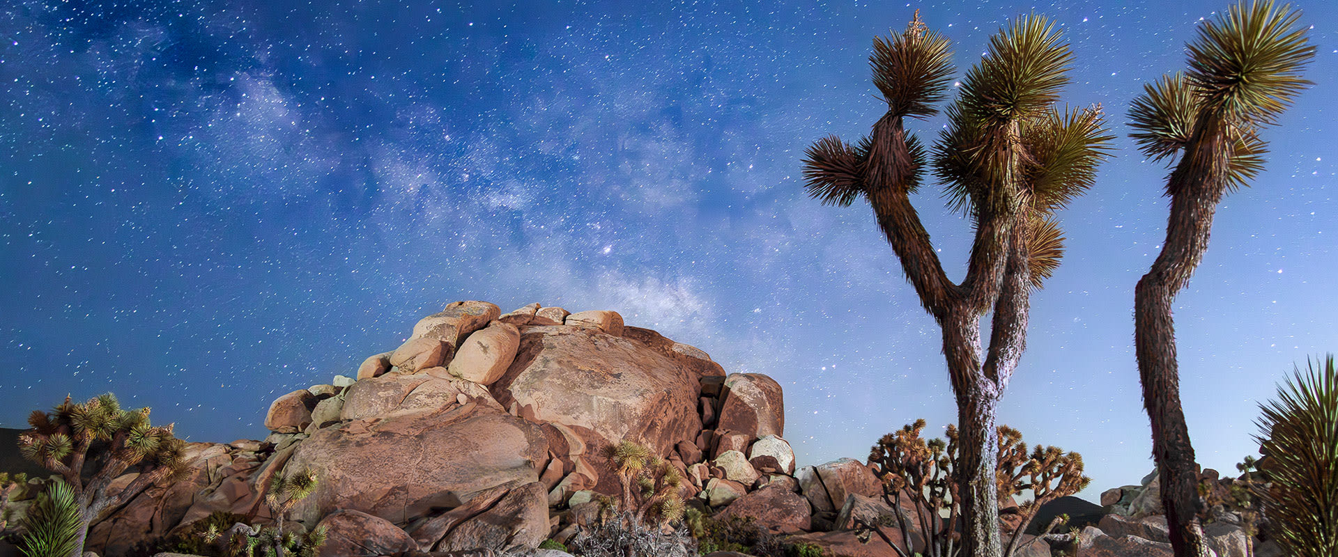 Photo of a stunning night sky filled with twinkling stars over the iconic Joshua Tree National Park landscape in California.